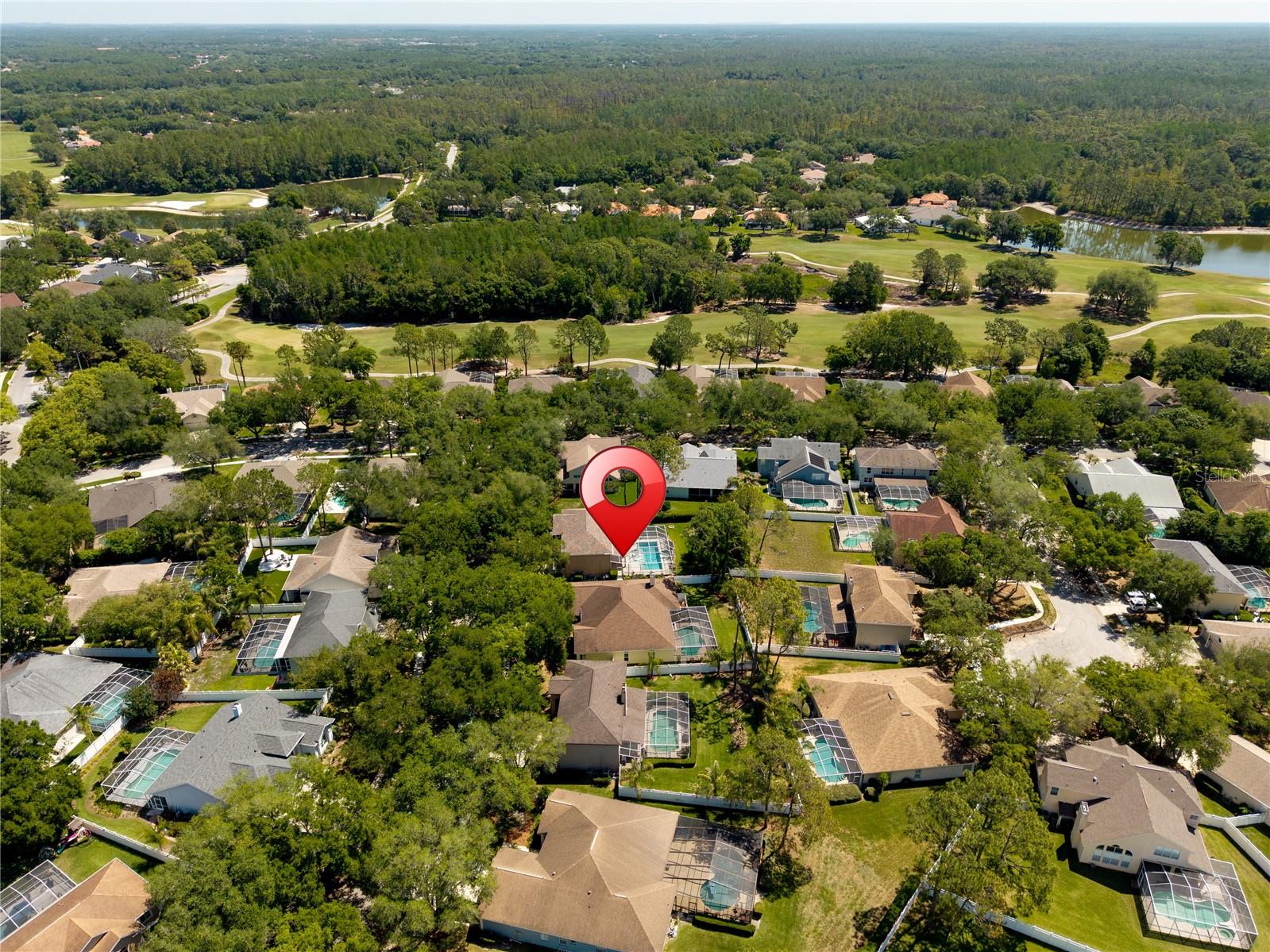 8715 HIDDEN GREEN LN, TAMPA, FL, 33647