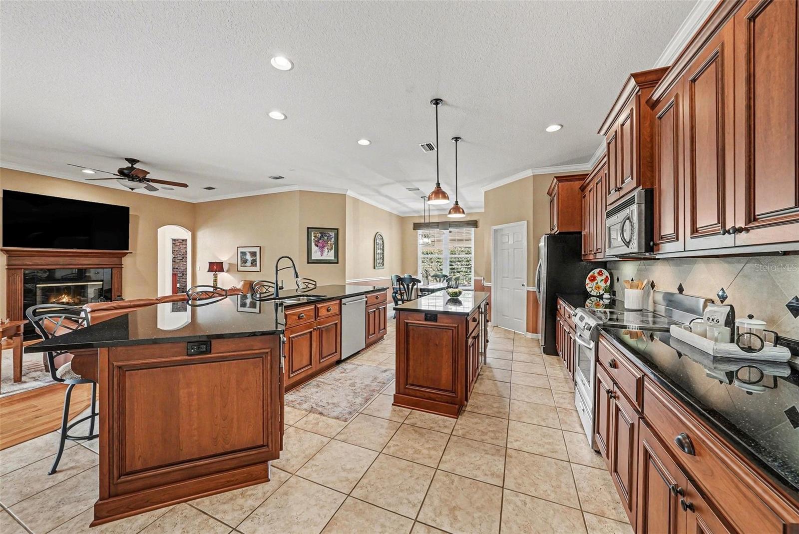 5413 GARDEN ARBOR DR, LUTZ, FL, 33558