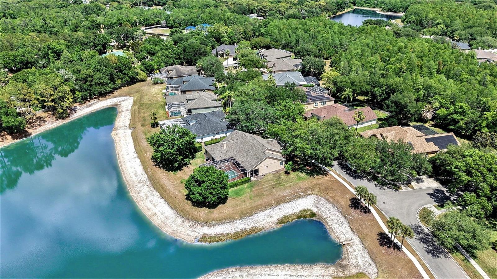 5413 GARDEN ARBOR DR, LUTZ, FL, 33558