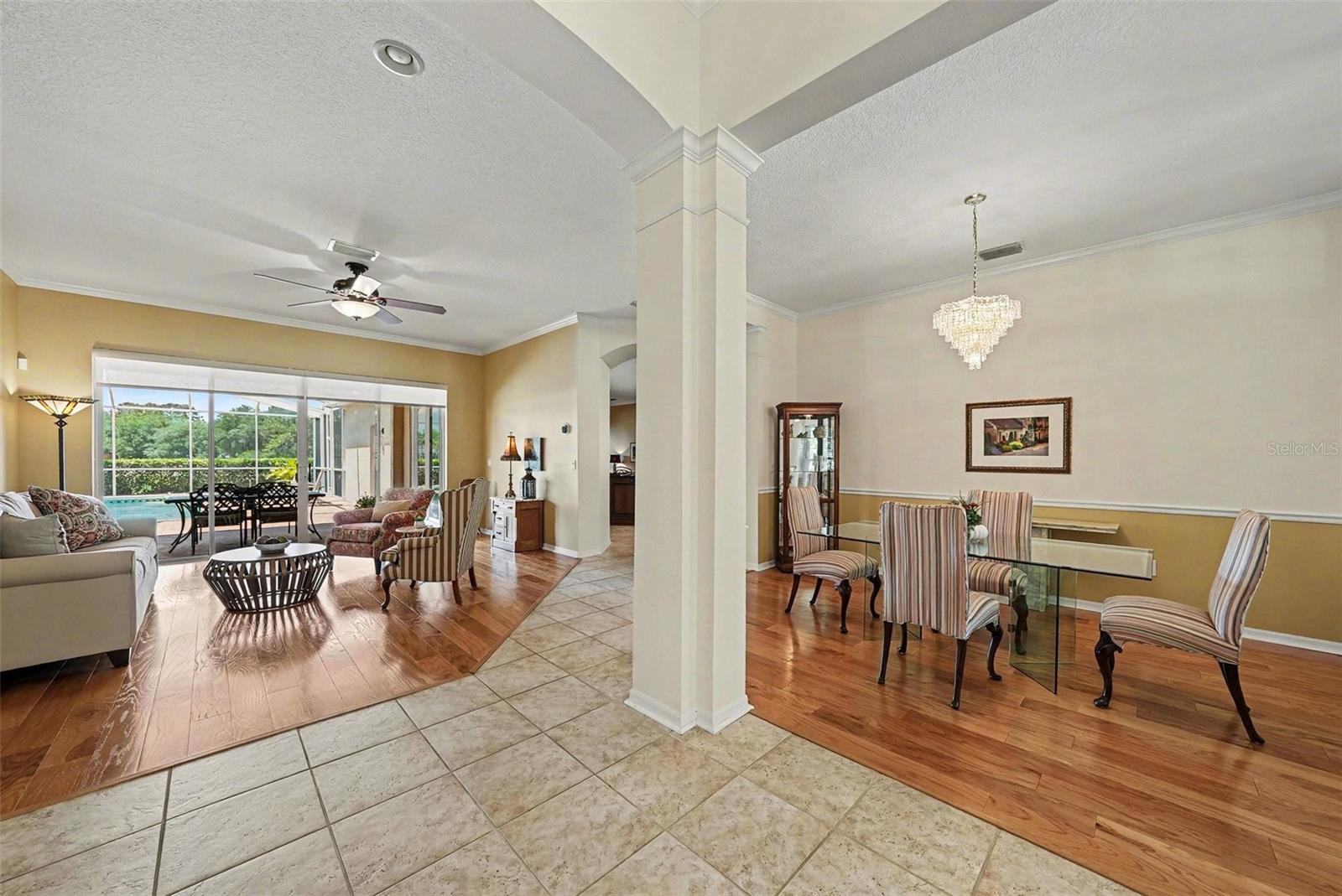 5413 GARDEN ARBOR DR, LUTZ, FL, 33558