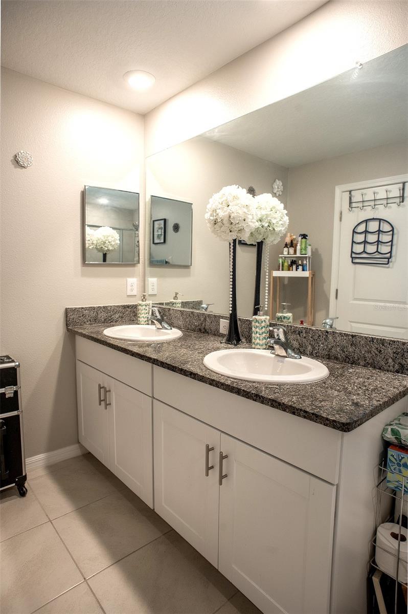 2160 CERULEAN SKY DR, LUTZ, FL, 33558