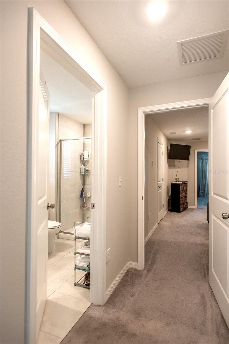 2160 CERULEAN SKY DR, LUTZ, FL, 33558