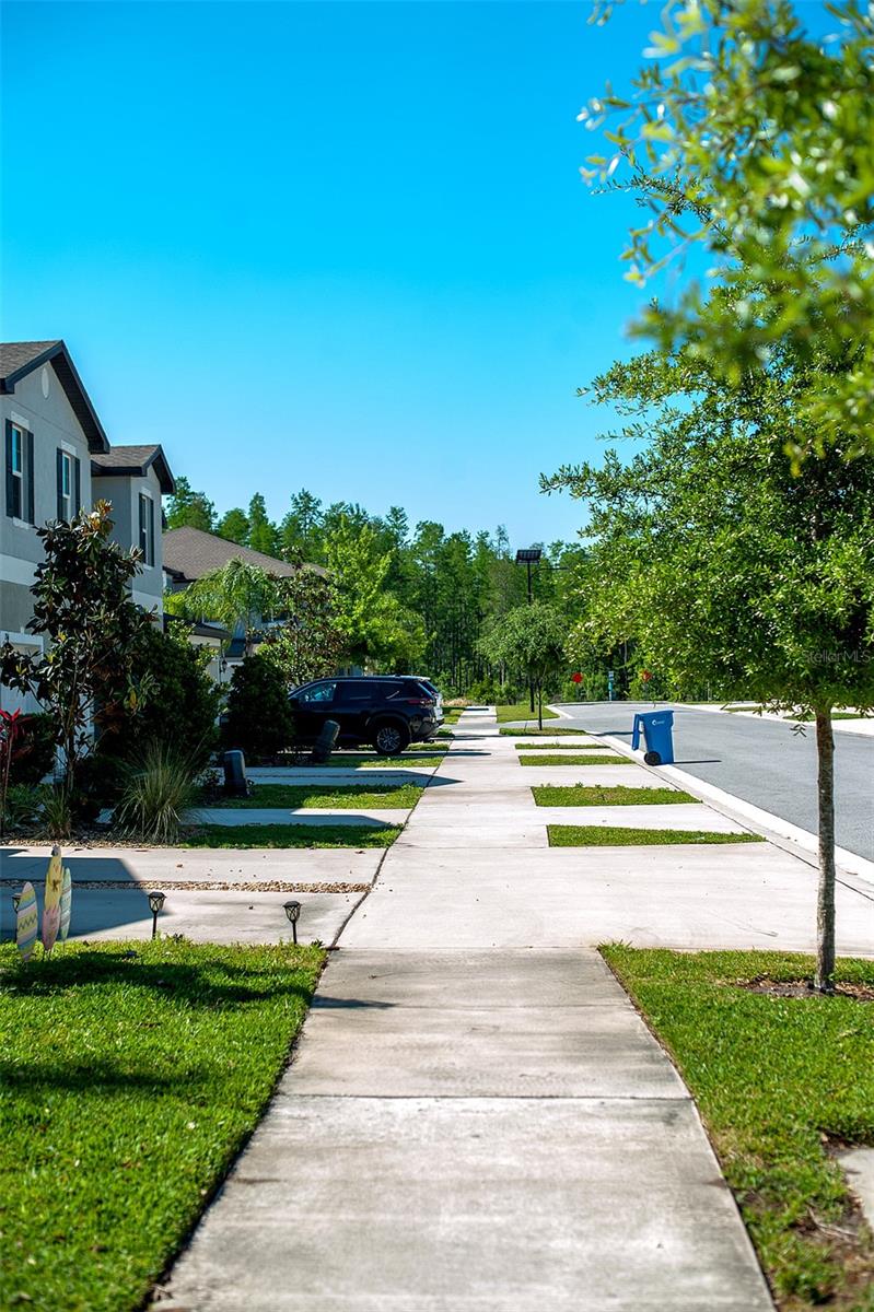 2160 CERULEAN SKY DR, LUTZ, FL, 33558