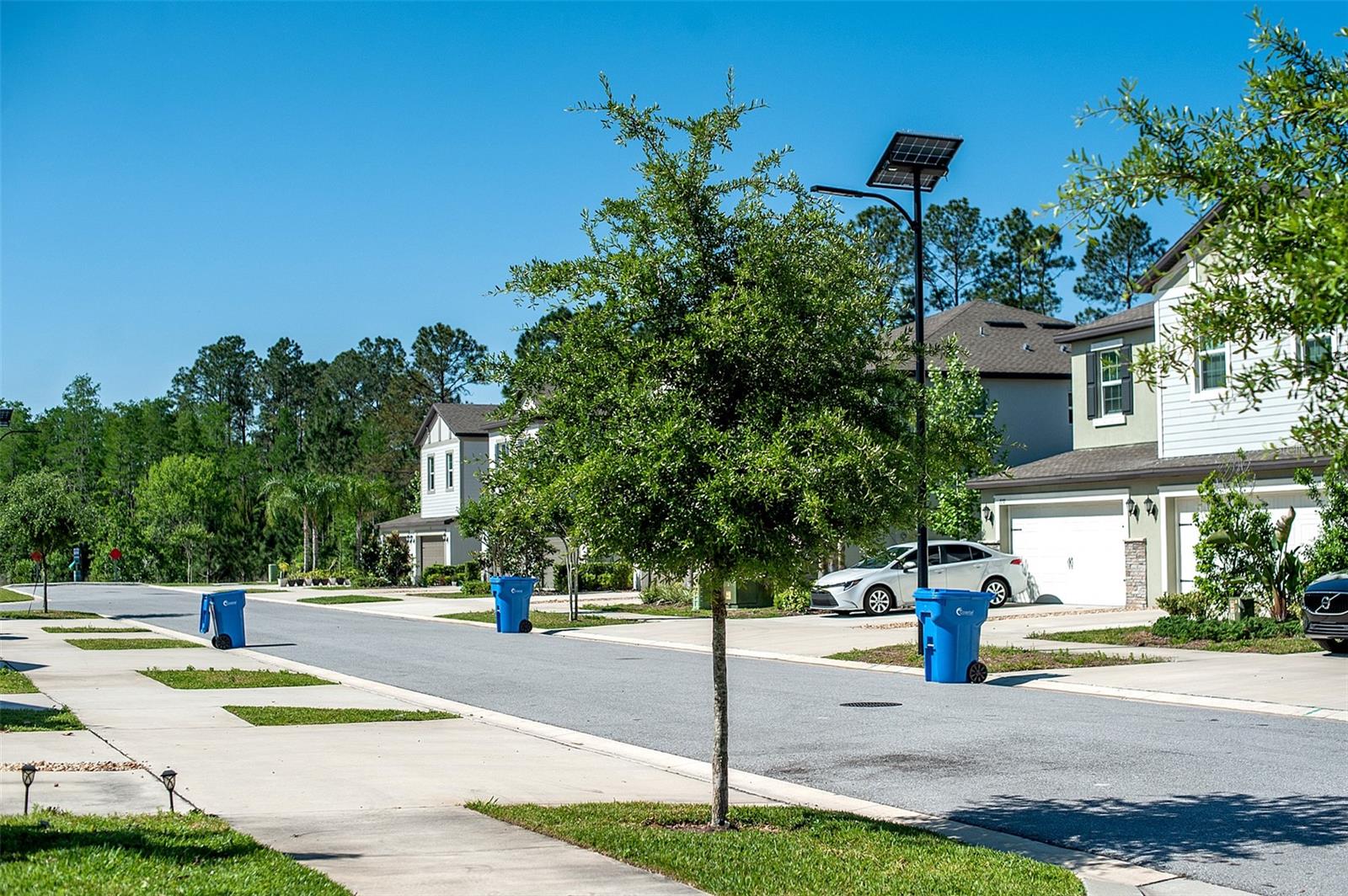 2160 CERULEAN SKY DR, LUTZ, FL, 33558