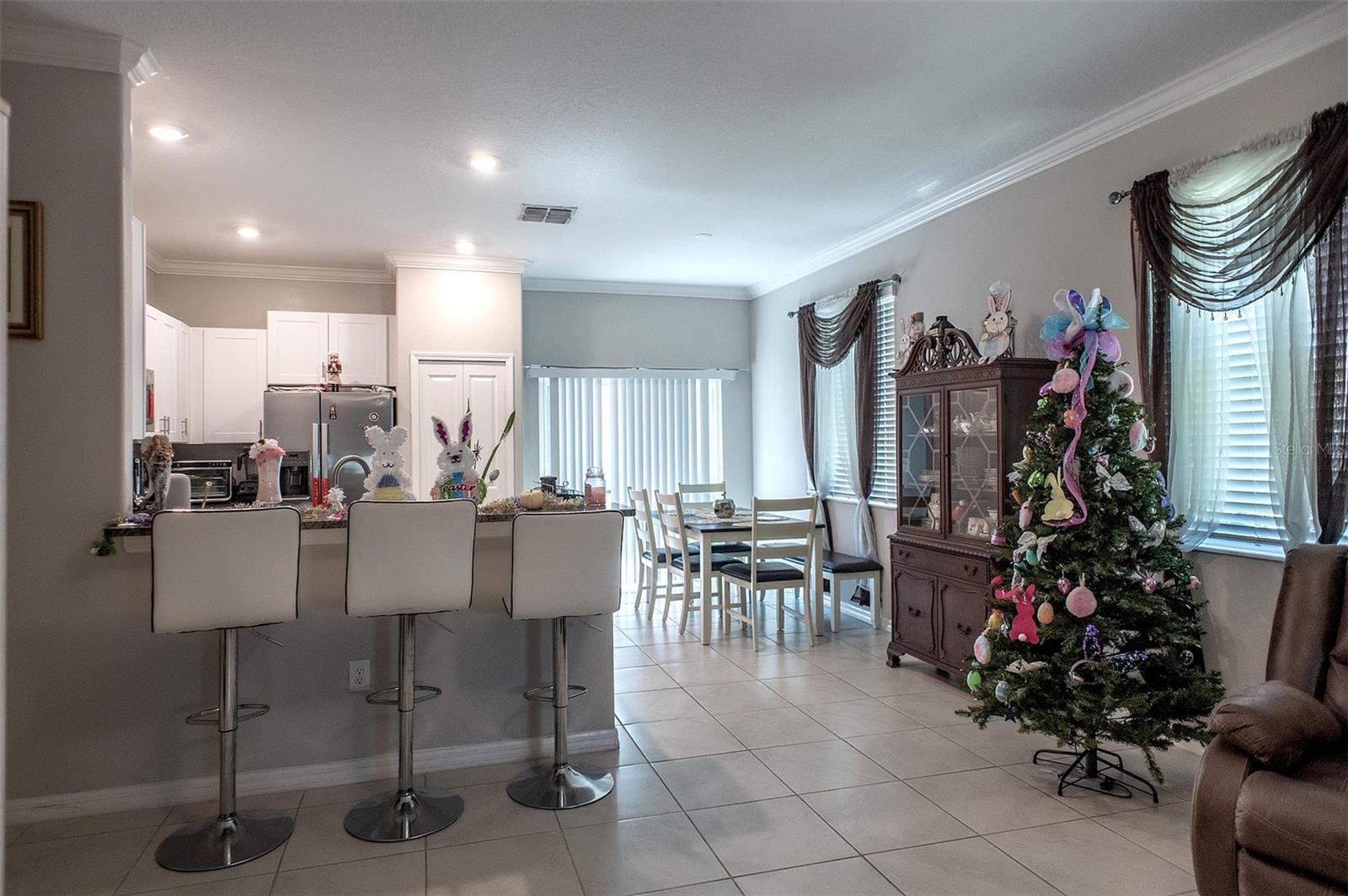 2160 CERULEAN SKY DR, LUTZ, FL, 33558