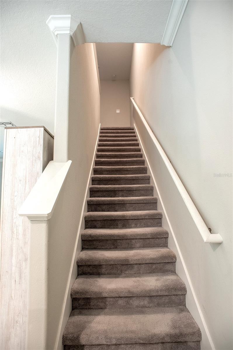 2160 CERULEAN SKY DR, LUTZ, FL, 33558