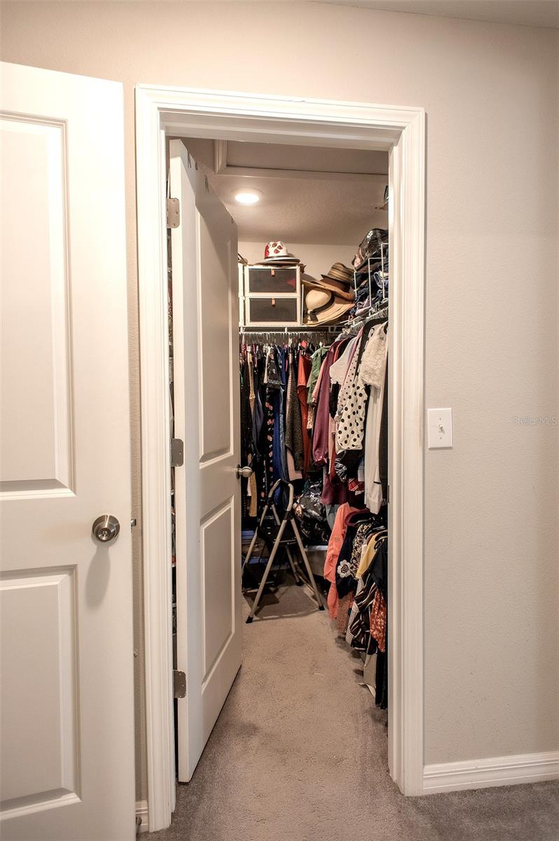 2160 CERULEAN SKY DR, LUTZ, FL, 33558