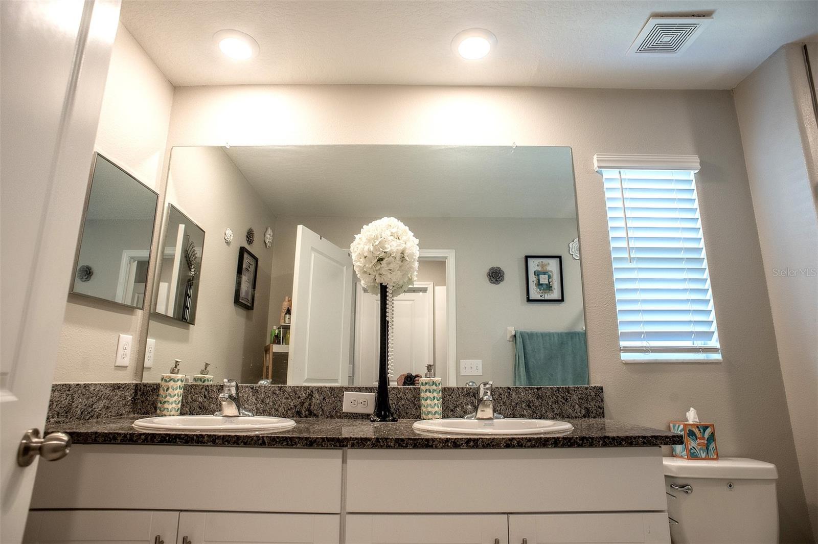 2160 CERULEAN SKY DR, LUTZ, FL, 33558