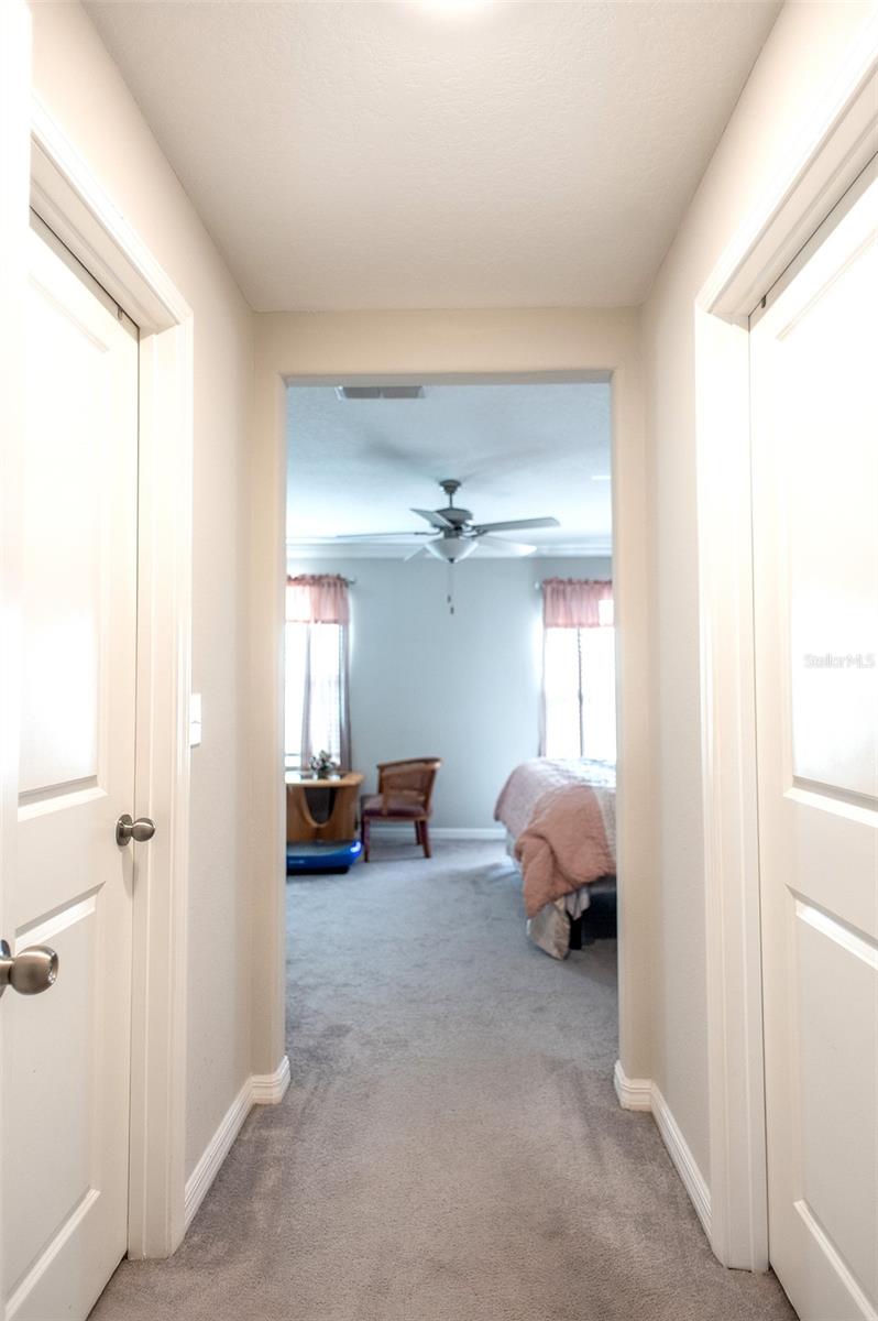 2160 CERULEAN SKY DR, LUTZ, FL, 33558