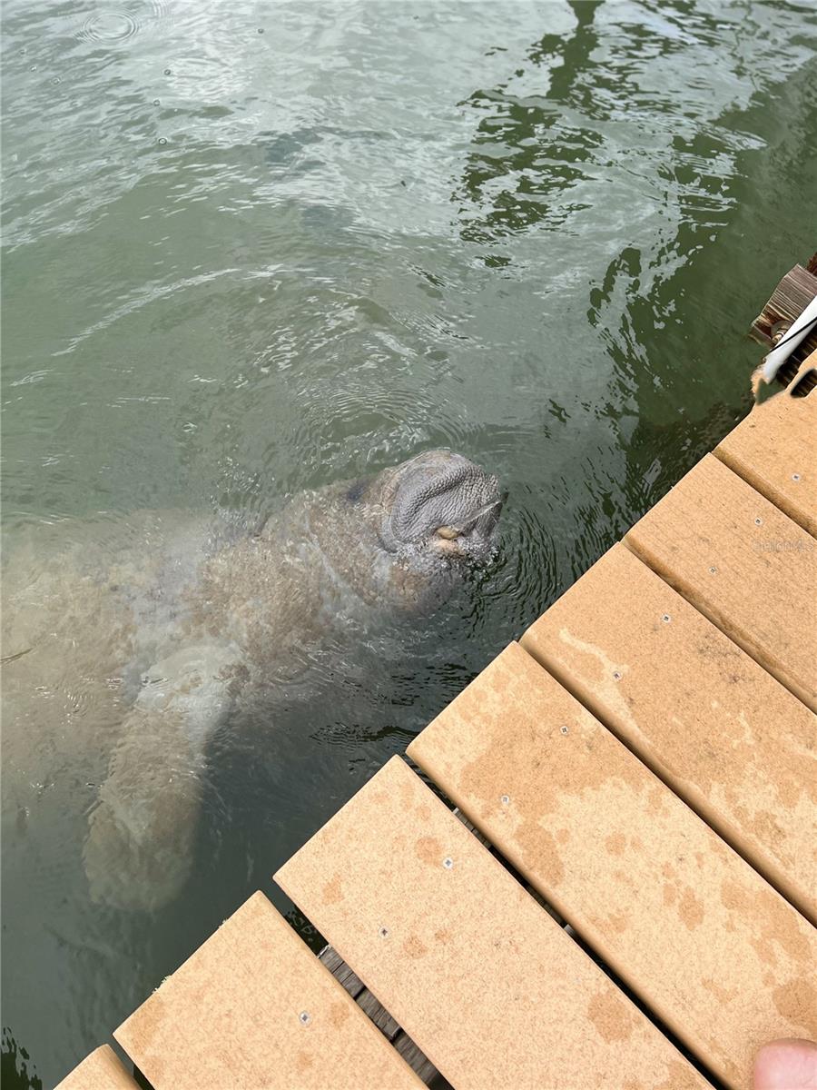 9200 LITTLE GASPARILLA #304, PLACIDA, FL, 33946