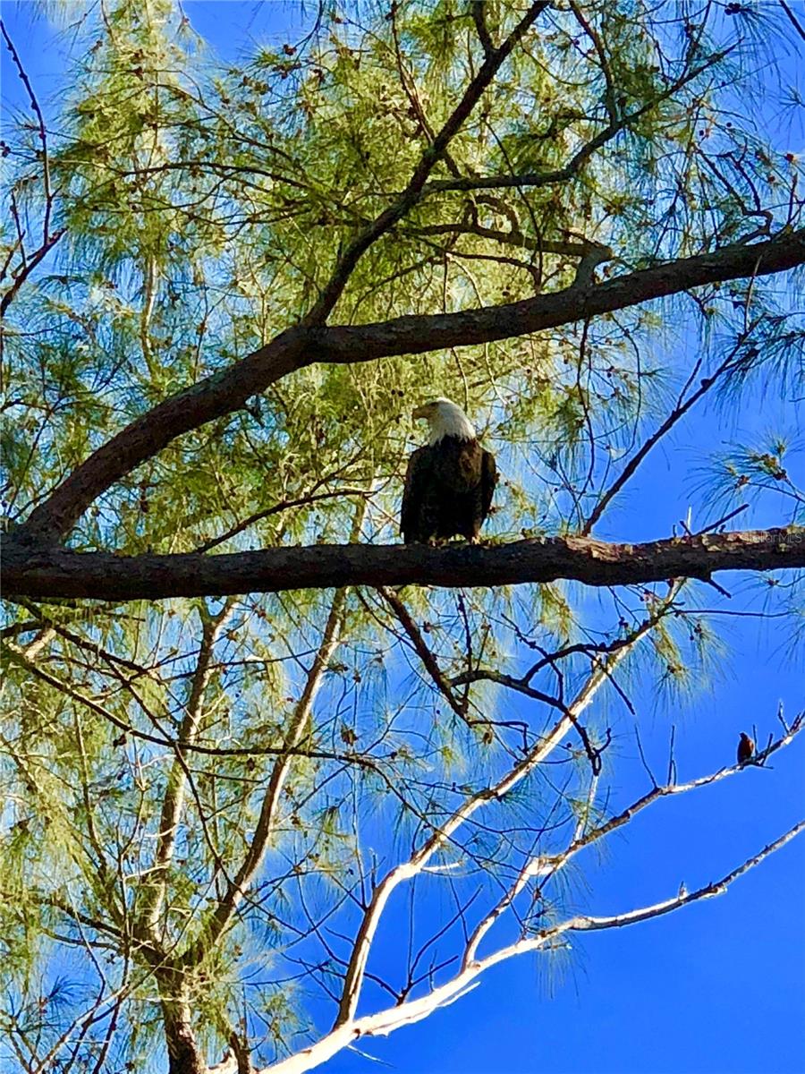 9200 LITTLE GASPARILLA #304, PLACIDA, FL, 33946