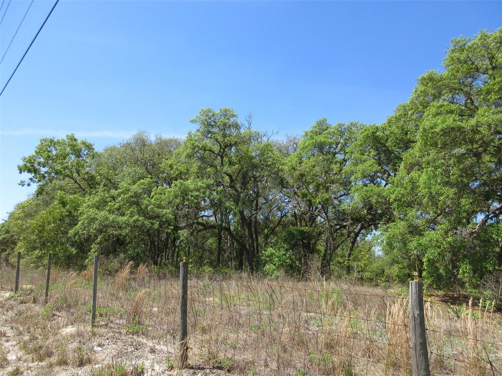 5439 W OAKHILL ST, DUNNELLON, FL, 34433