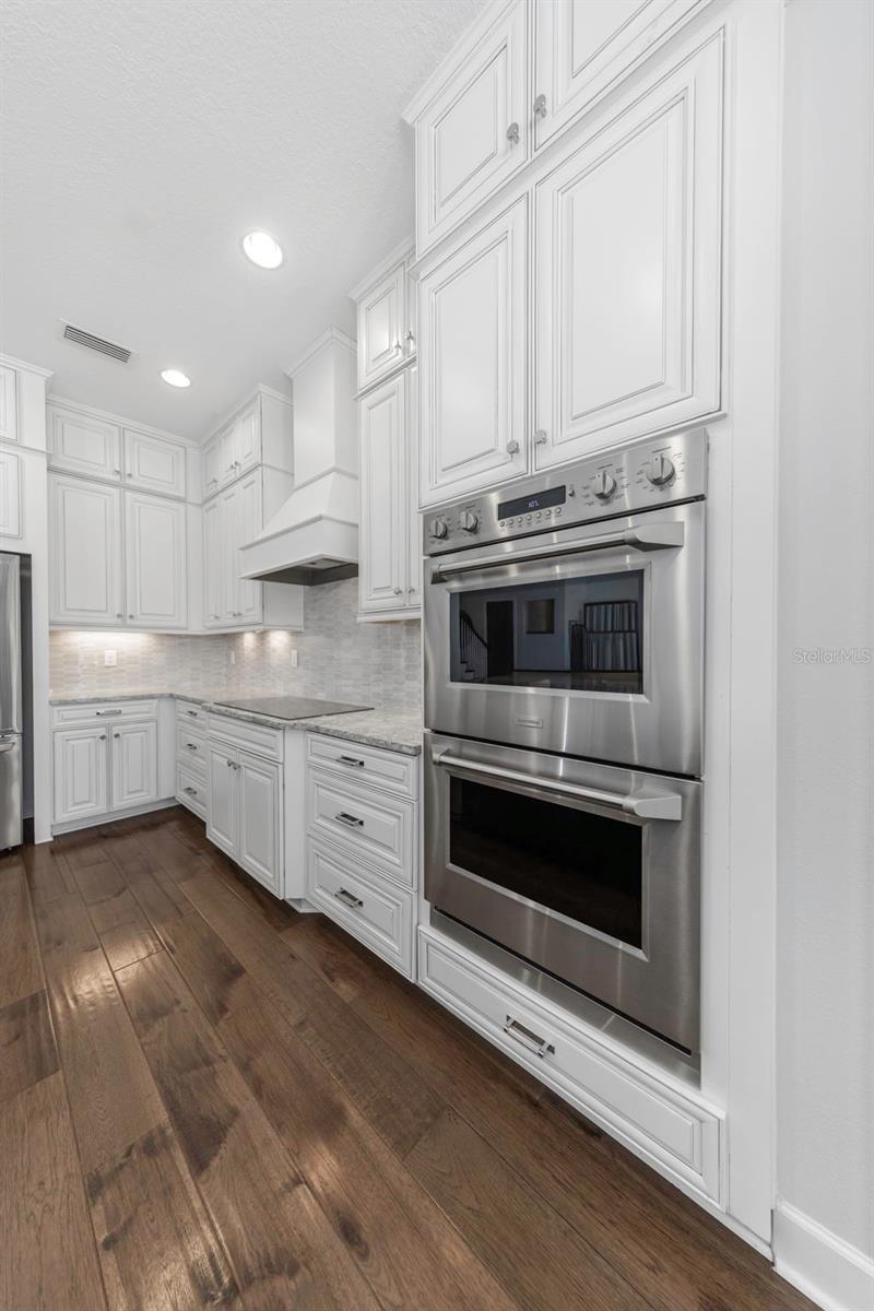 4028 ROCKY SHORES DR, TAMPA, FL, 33634