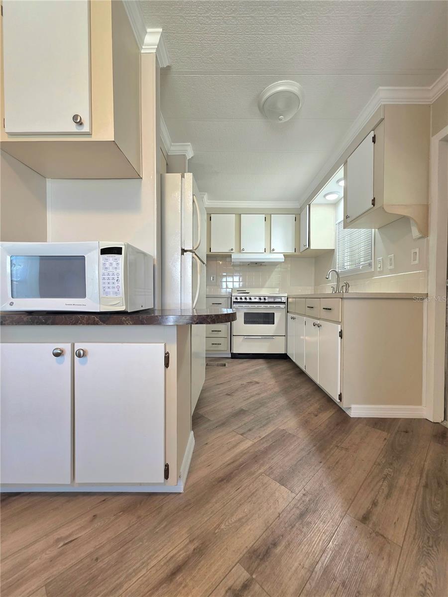 36801 CAMELIA CT, ZEPHYRHILLS, FL, 33542