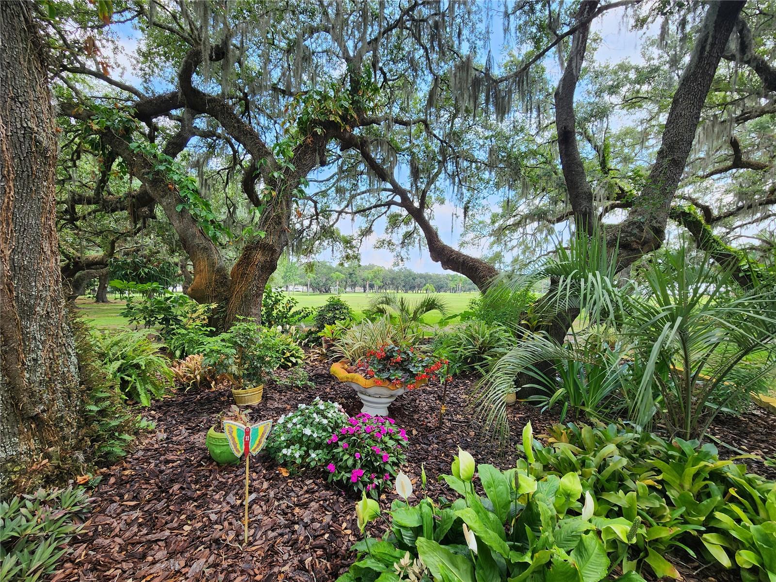 36801 CAMELIA CT, ZEPHYRHILLS, FL, 33542