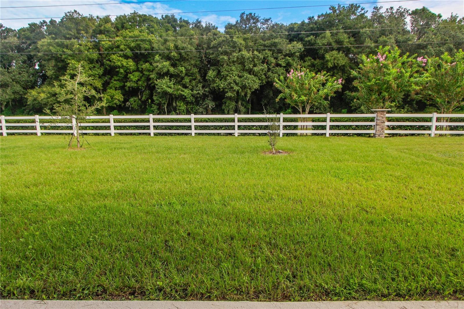 5208 MEADOW SONG DR, OKAHUMPKA, FL, 34762