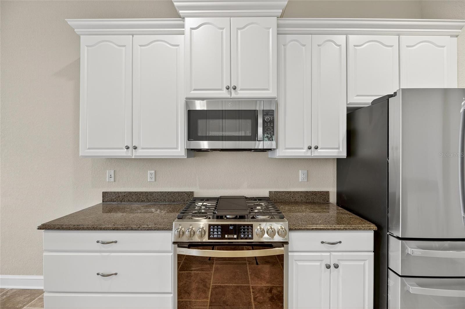 1039 EMERALD DUNES DR, SUN CITY CENTER, FL, 33573