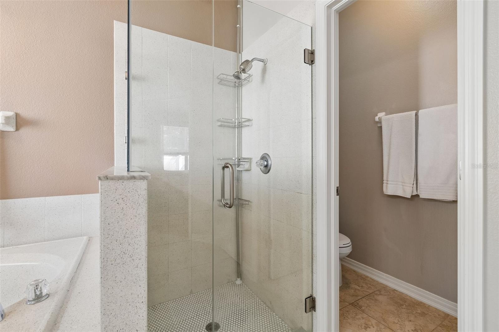 10901 WILDCAT DR, RIVERVIEW, FL, 33579