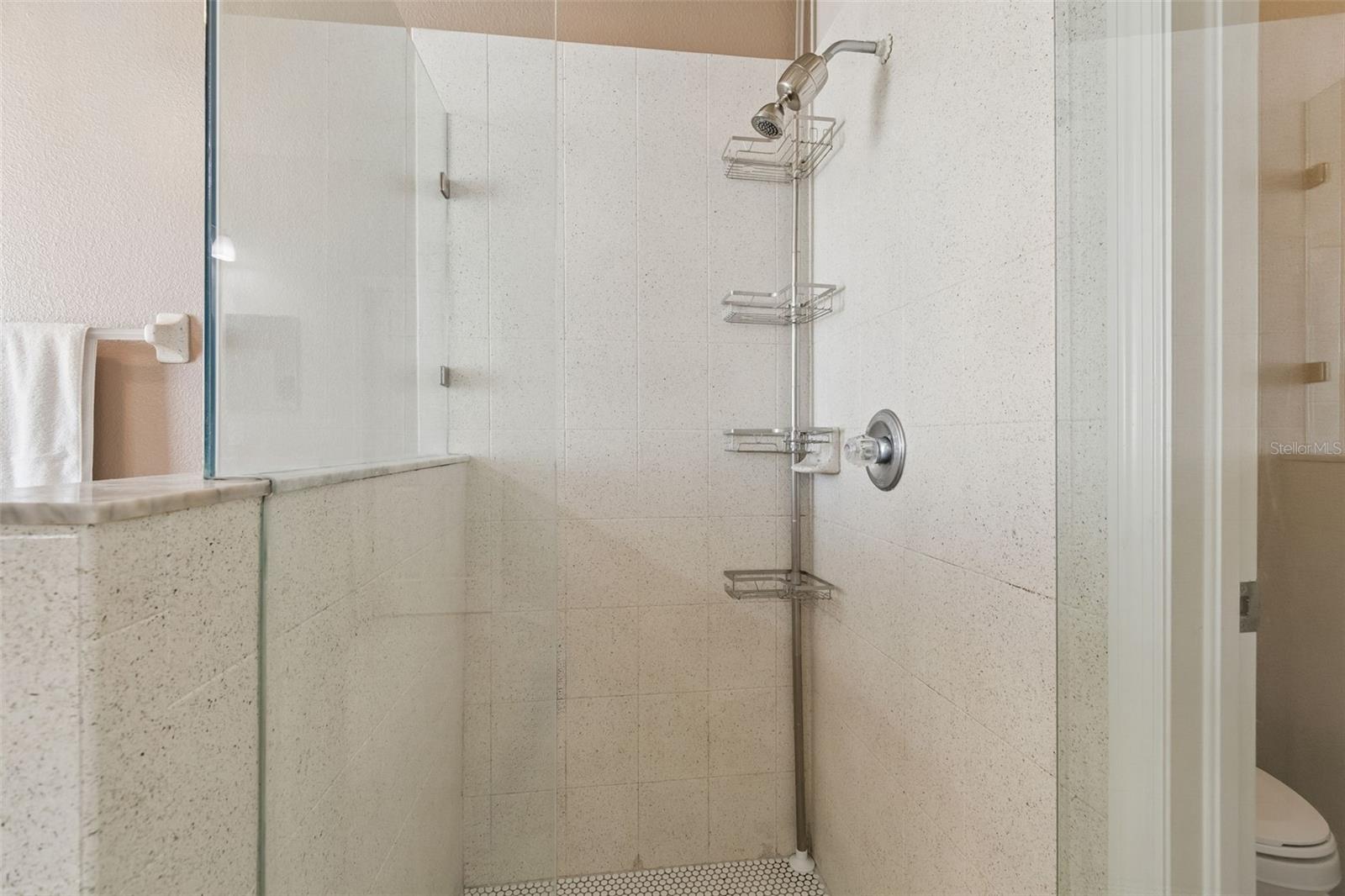 10901 WILDCAT DR, RIVERVIEW, FL, 33579