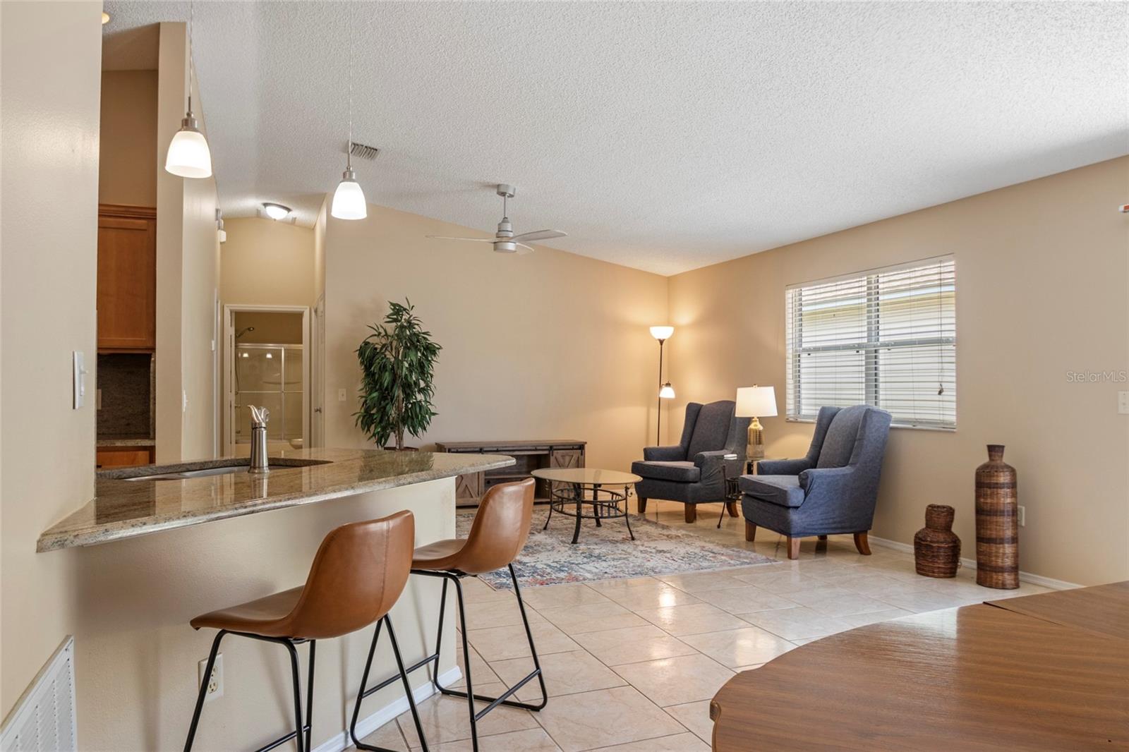 672 RICHLAND RD, THE VILLAGES, FL, 32162