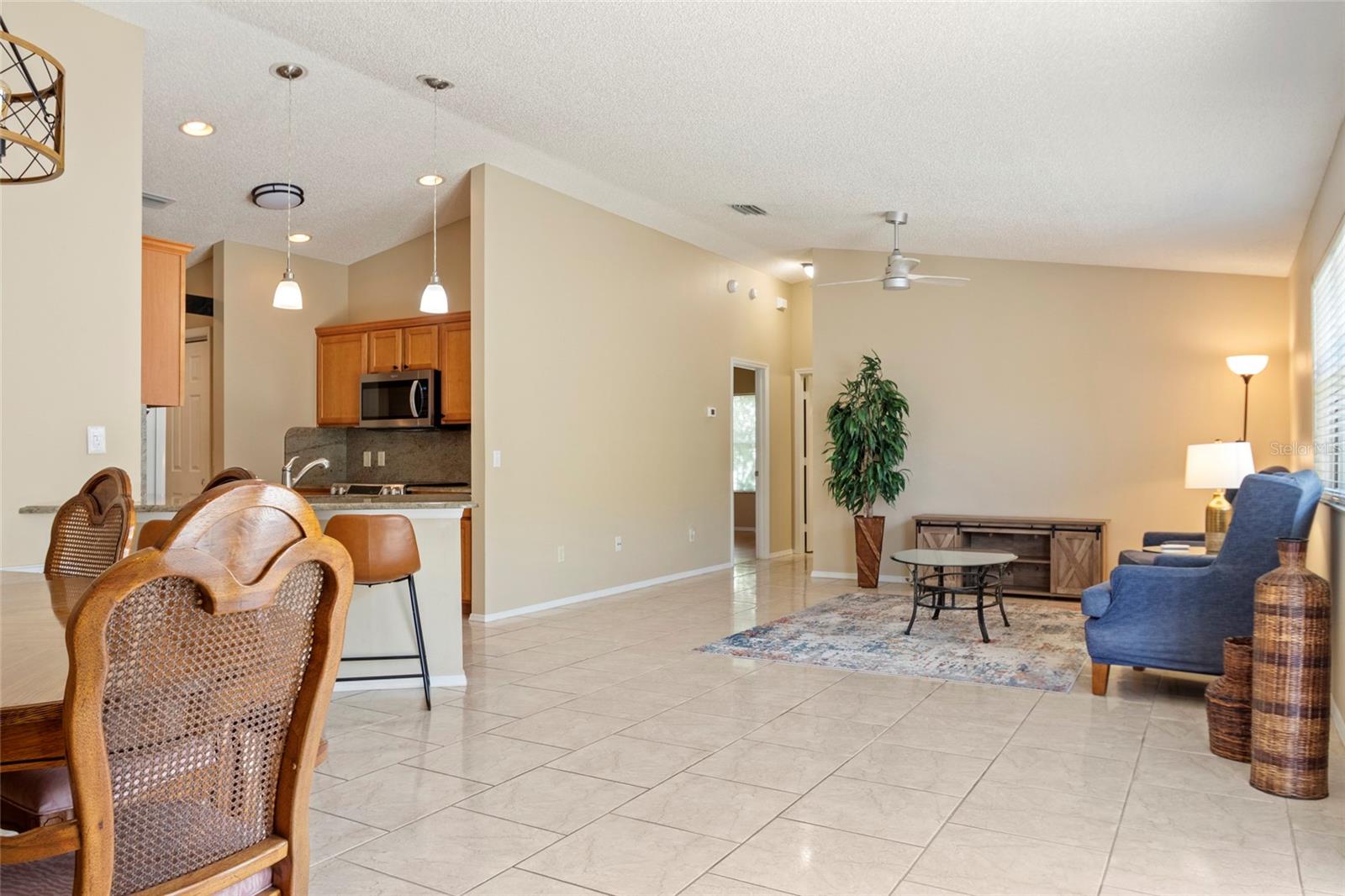 672 RICHLAND RD, THE VILLAGES, FL, 32162