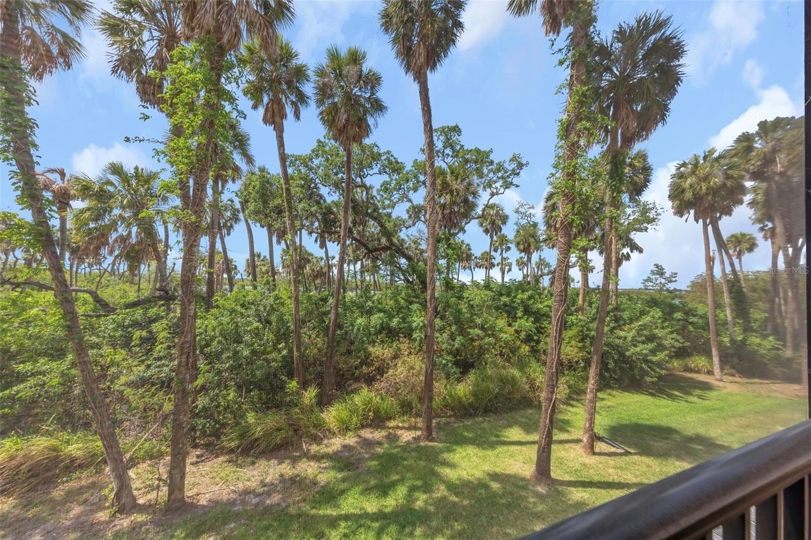 4732 TUSCAN LOON DR, TAMPA, FL, 33619