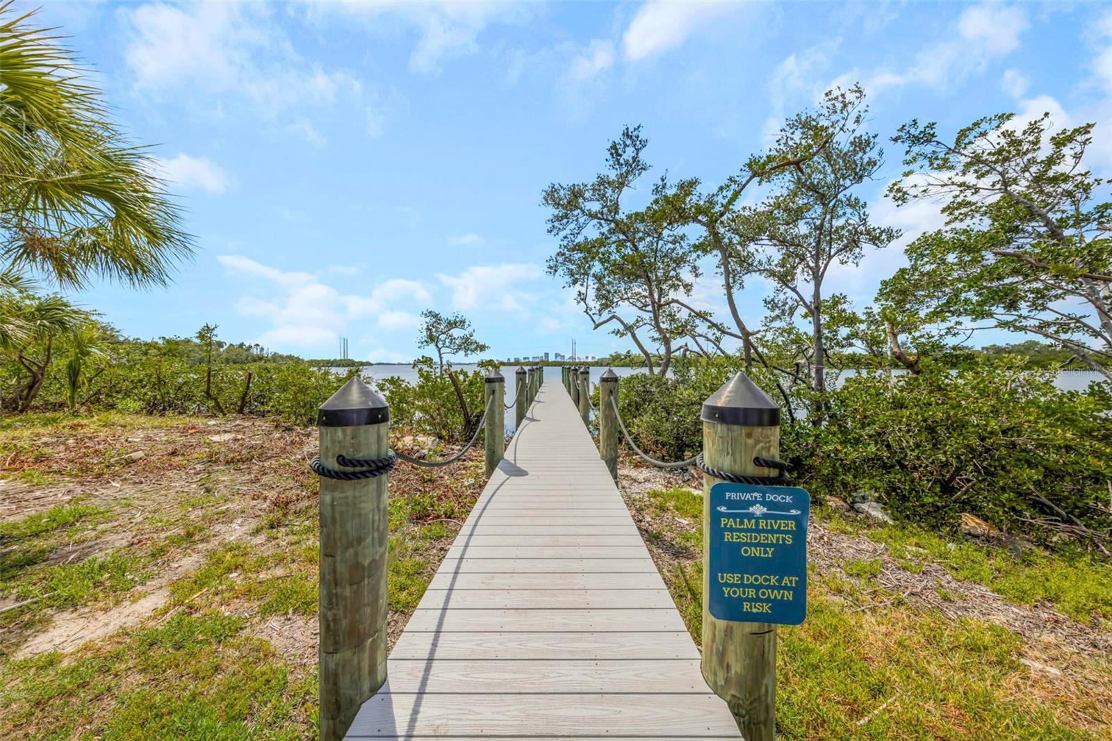 4732 TUSCAN LOON DR, TAMPA, FL, 33619