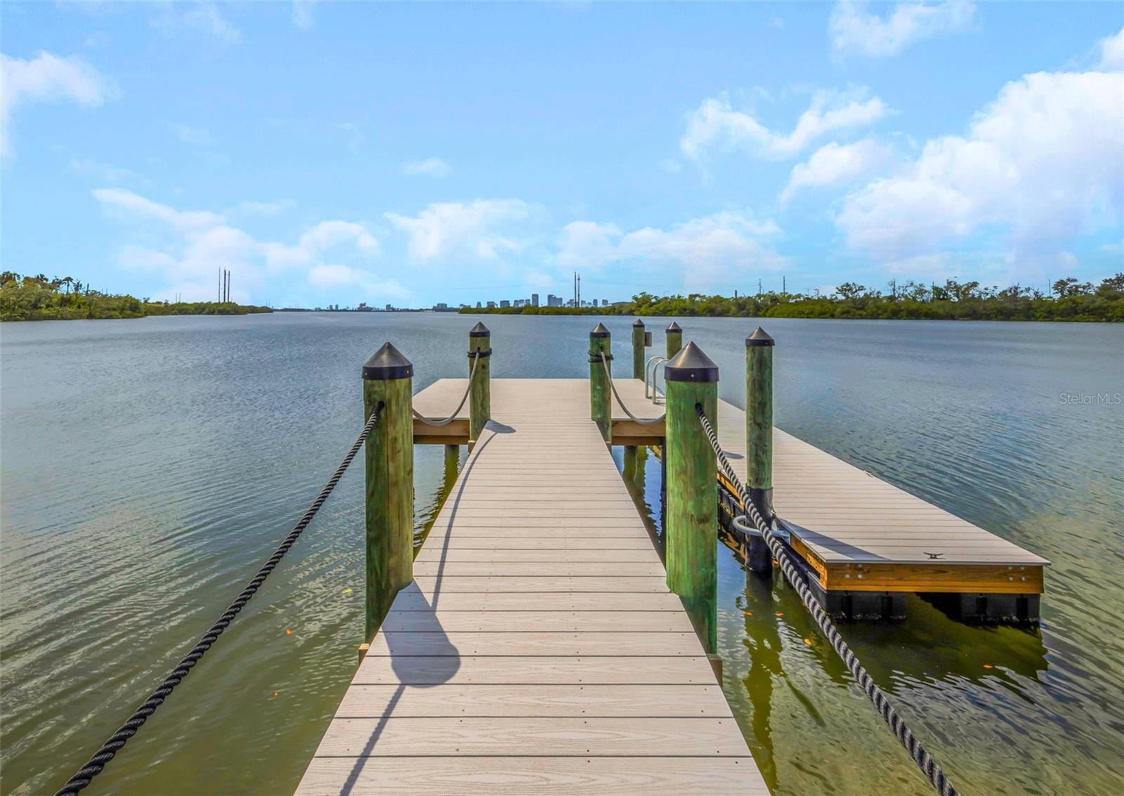 4732 TUSCAN LOON DR, TAMPA, FL, 33619