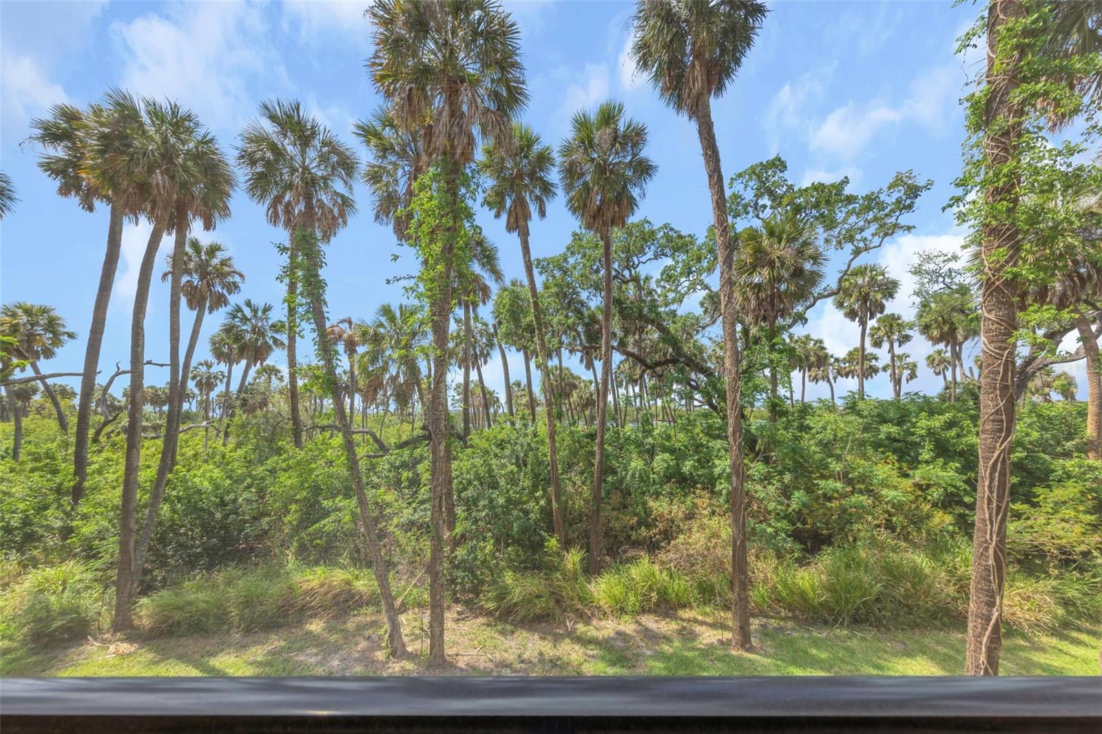 4732 TUSCAN LOON DR, TAMPA, FL, 33619