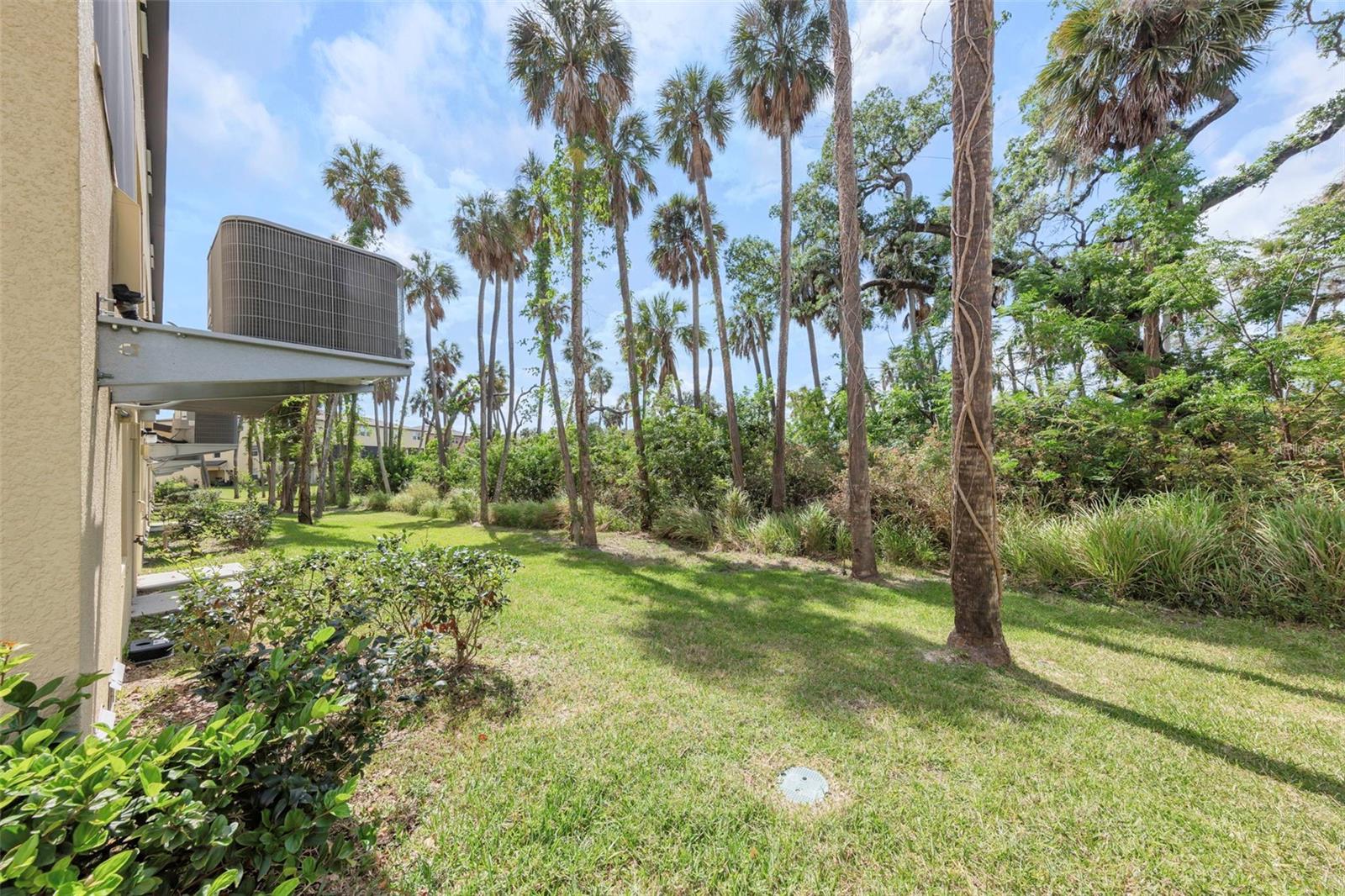 4732 TUSCAN LOON DR, TAMPA, FL, 33619