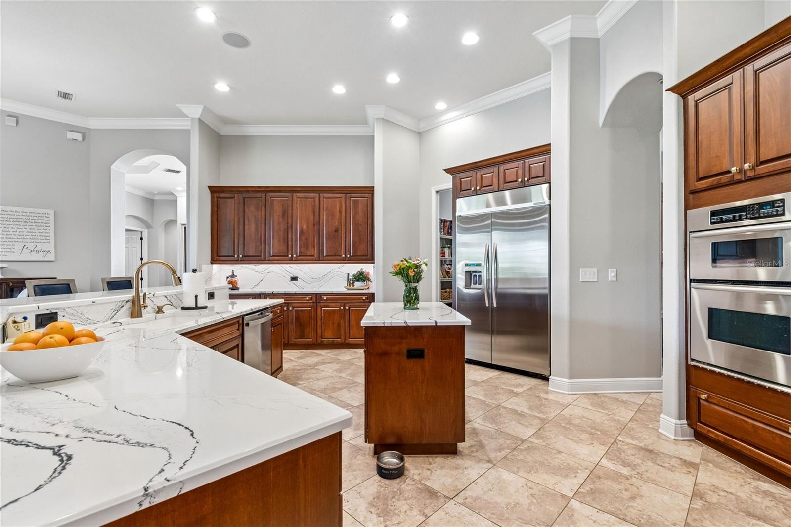 21227 SKY VISTA DR, LAND O LAKES, FL, 34637