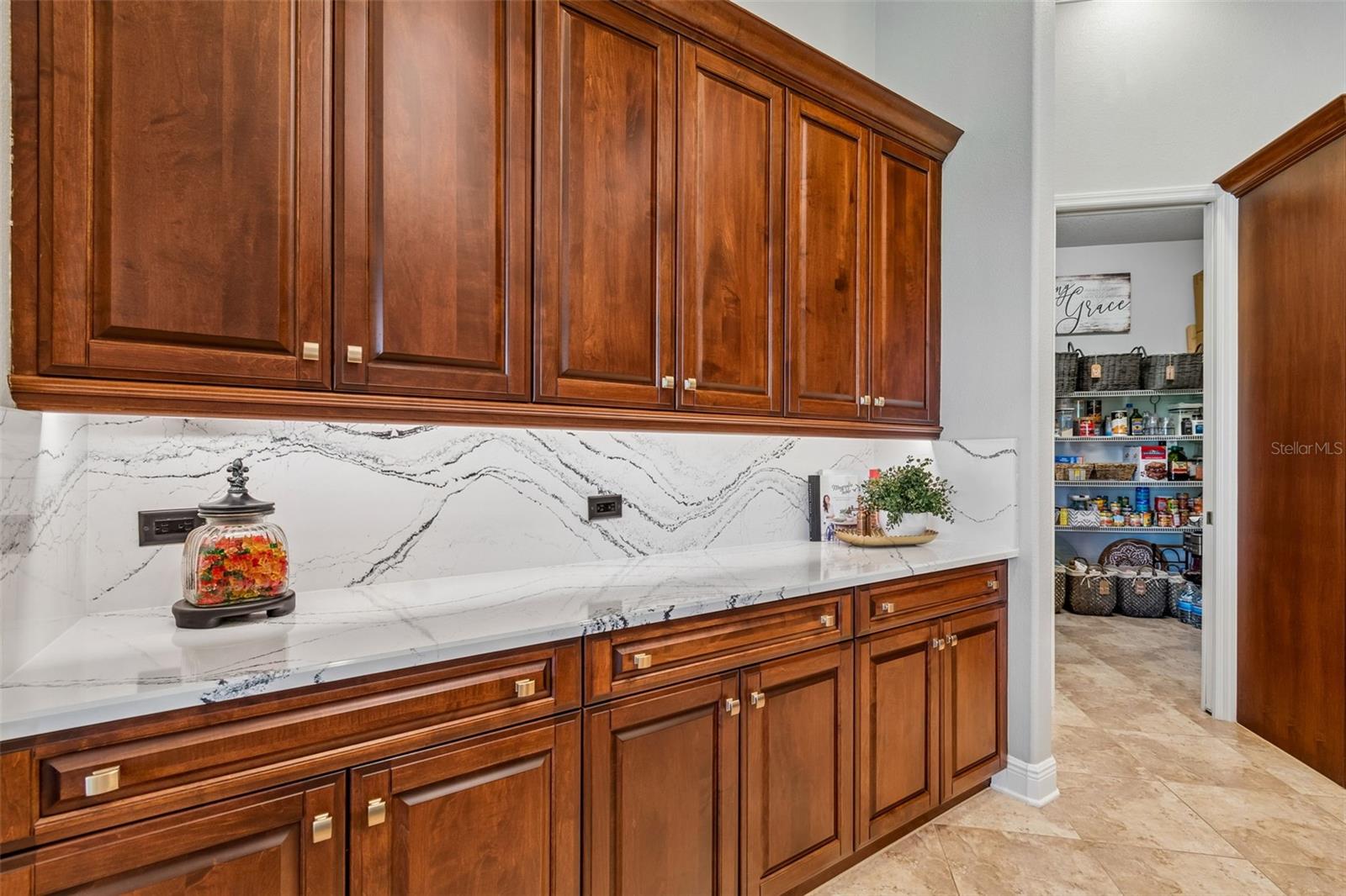 21227 SKY VISTA DR, LAND O LAKES, FL, 34637