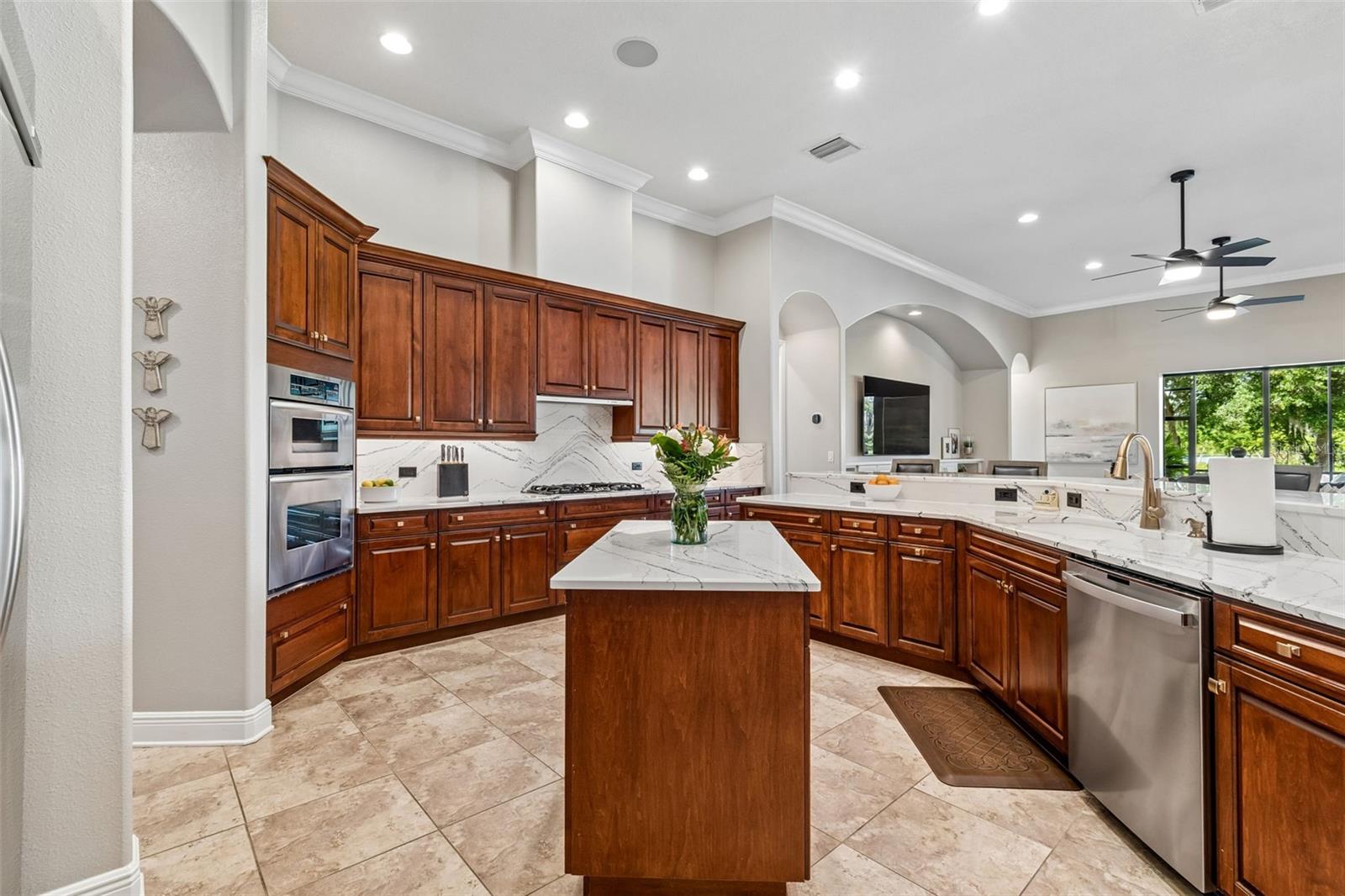 21227 SKY VISTA DR, LAND O LAKES, FL, 34637