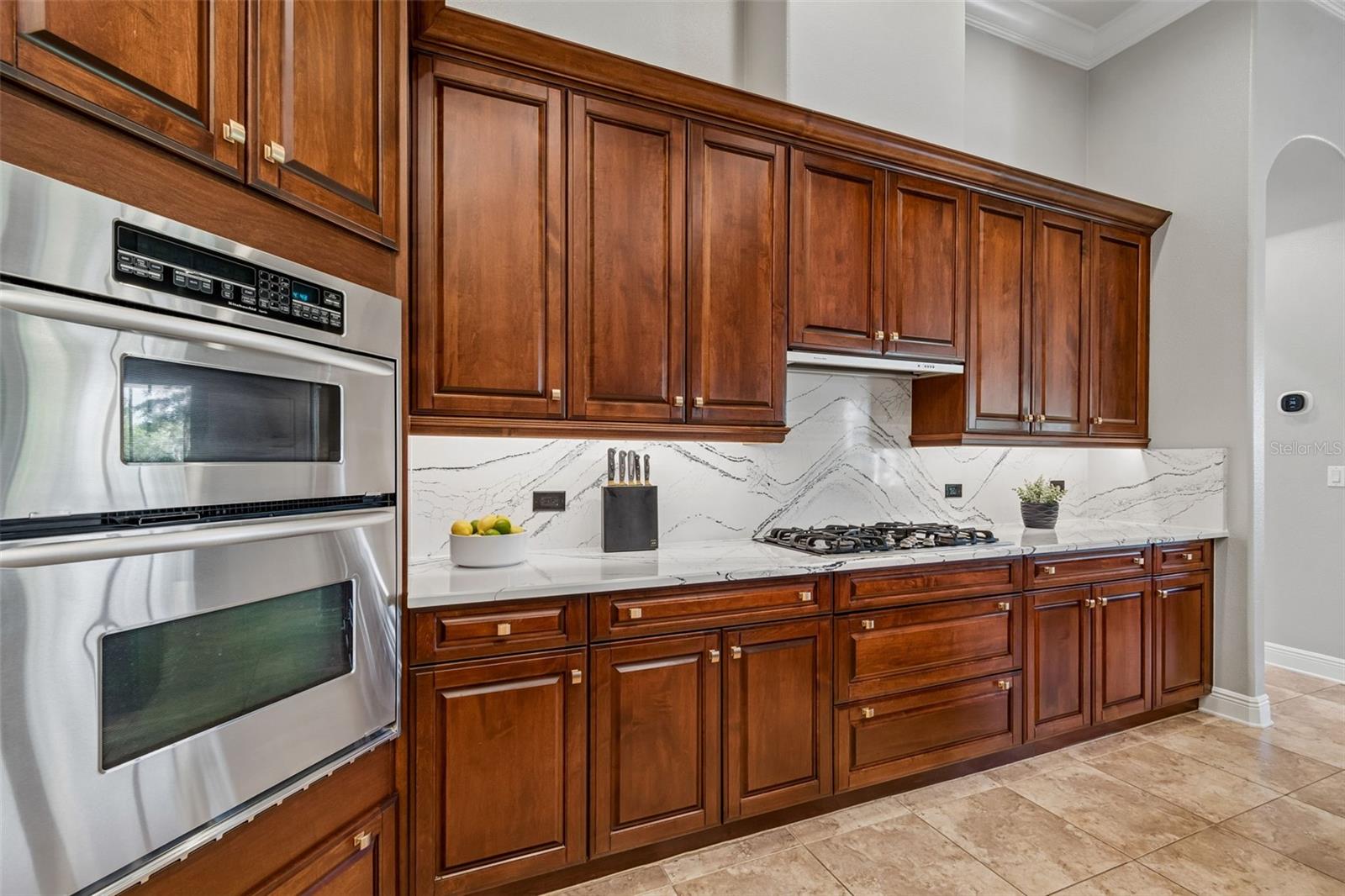 21227 SKY VISTA DR, LAND O LAKES, FL, 34637