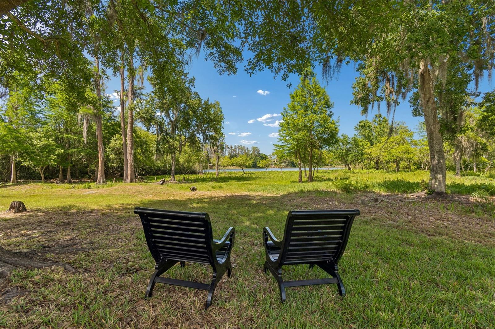 21227 SKY VISTA DR, LAND O LAKES, FL, 34637