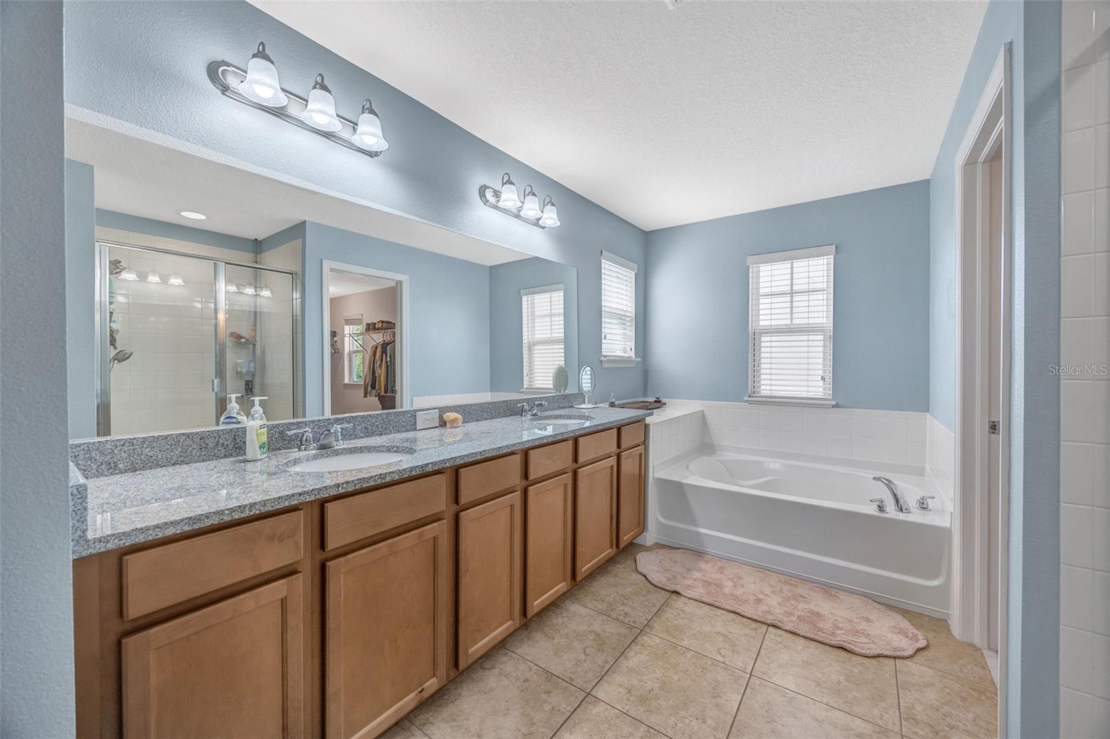 5420 ANGELONIA TER, LAND O LAKES, FL, 34639