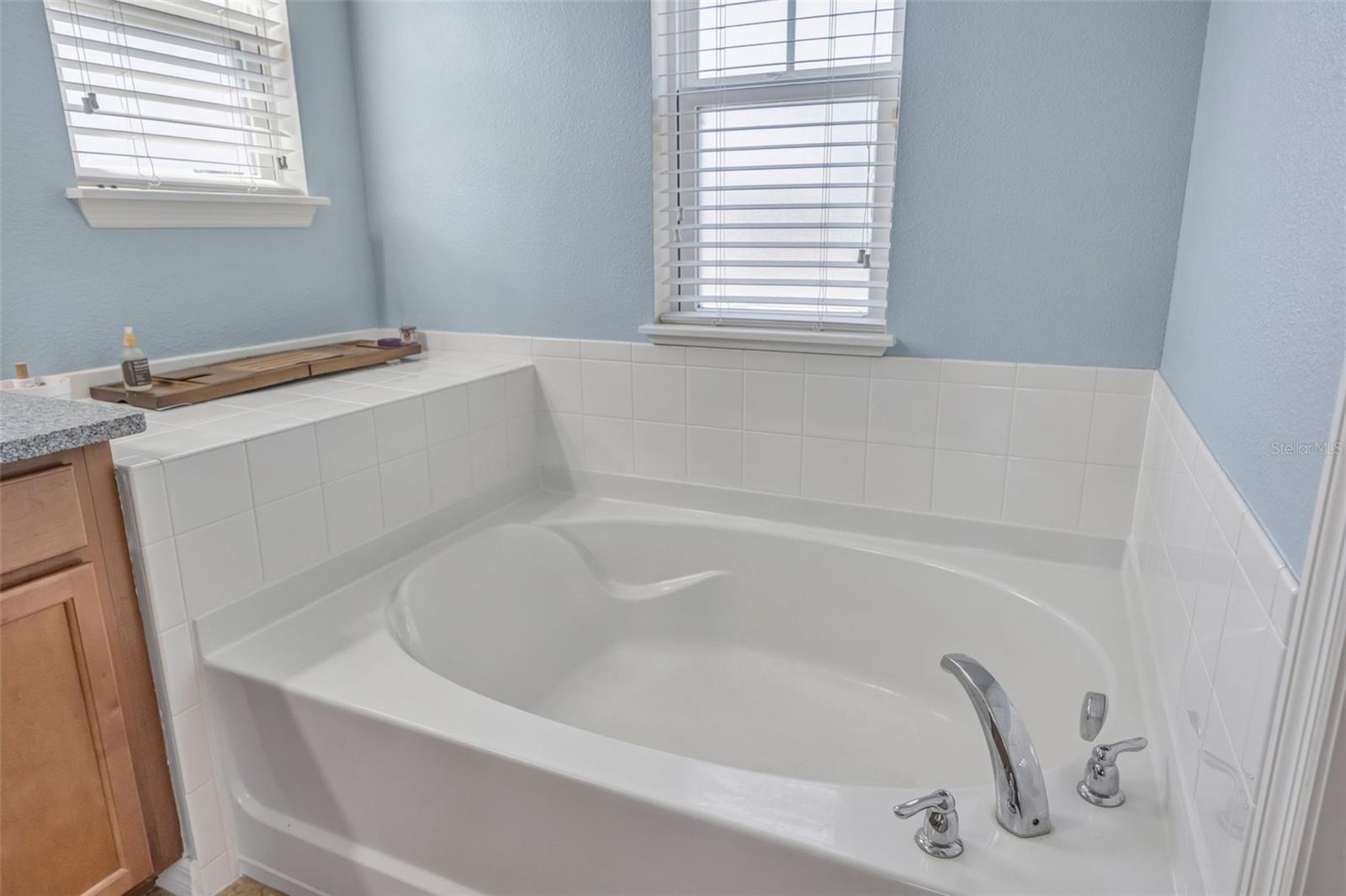 5420 ANGELONIA TER, LAND O LAKES, FL, 34639