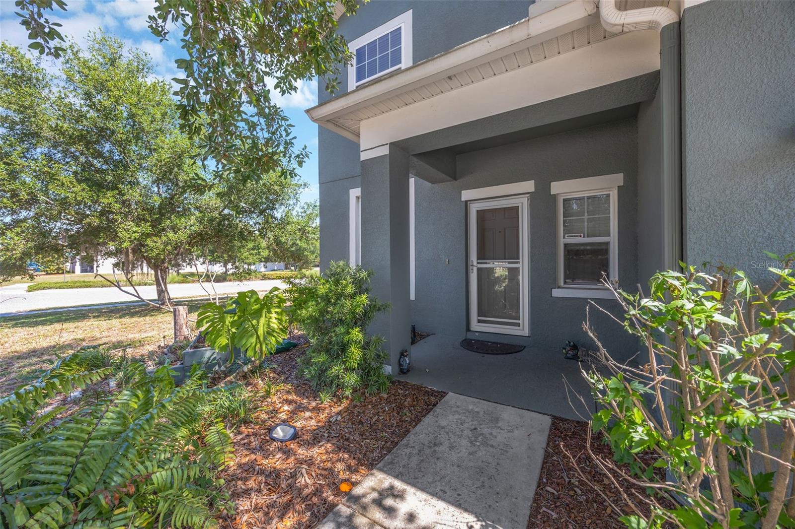 5420 ANGELONIA TER, LAND O LAKES, FL, 34639