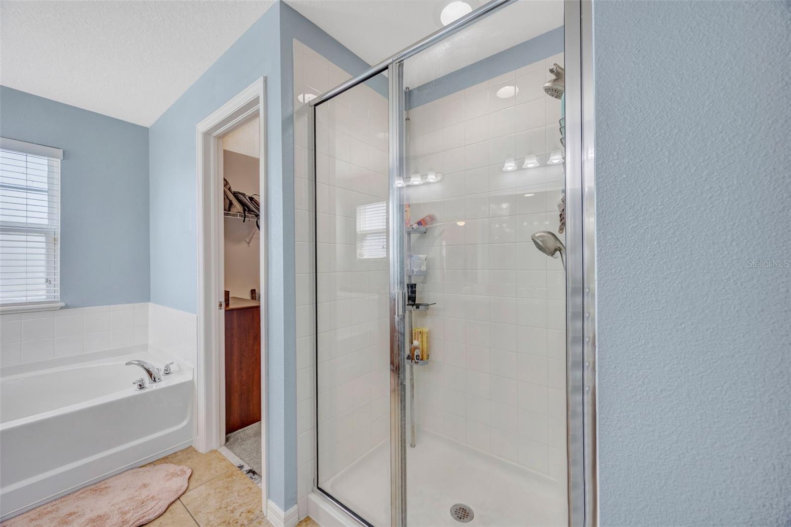 5420 ANGELONIA TER, LAND O LAKES, FL, 34639