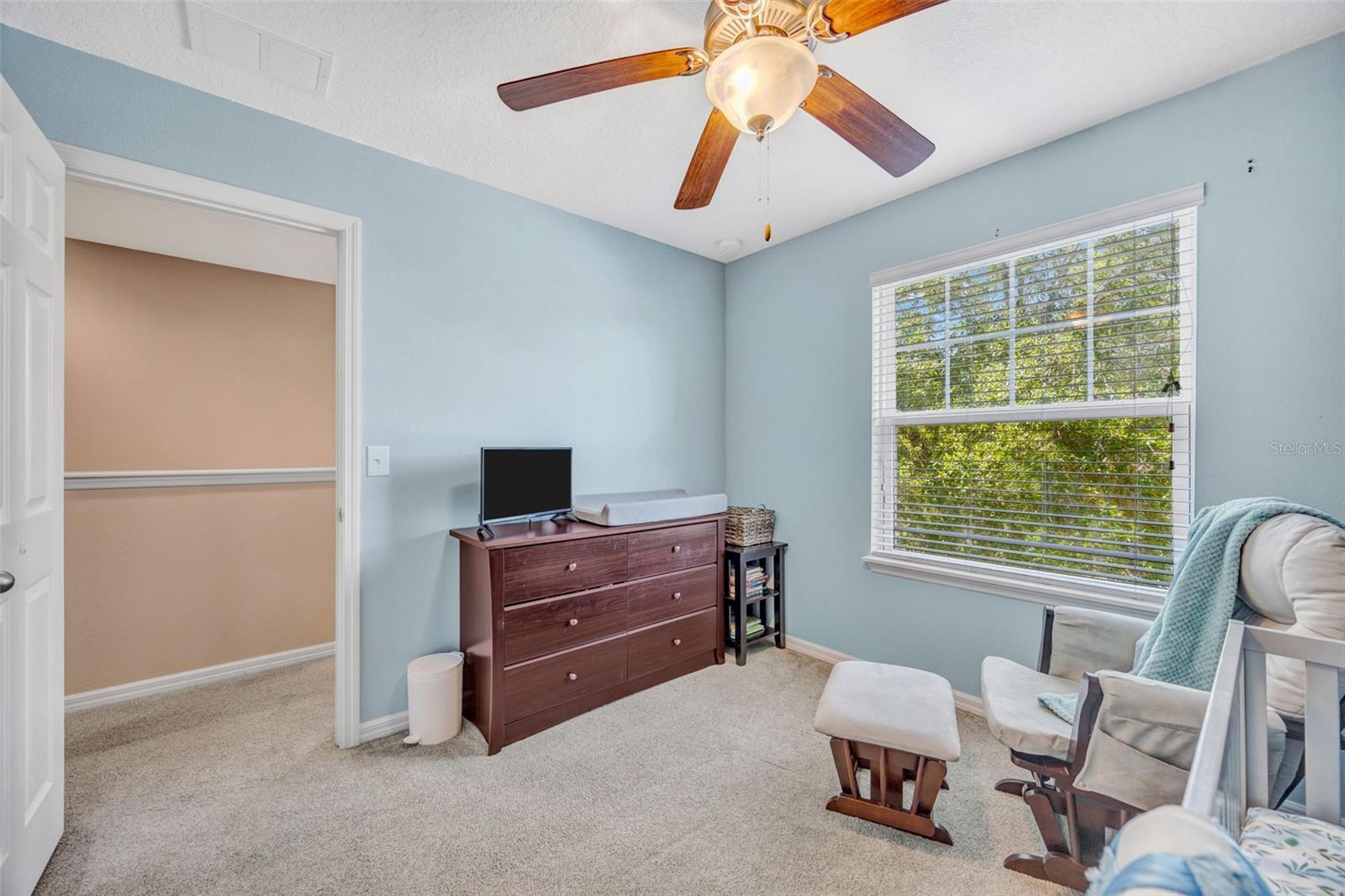 5420 ANGELONIA TER, LAND O LAKES, FL, 34639