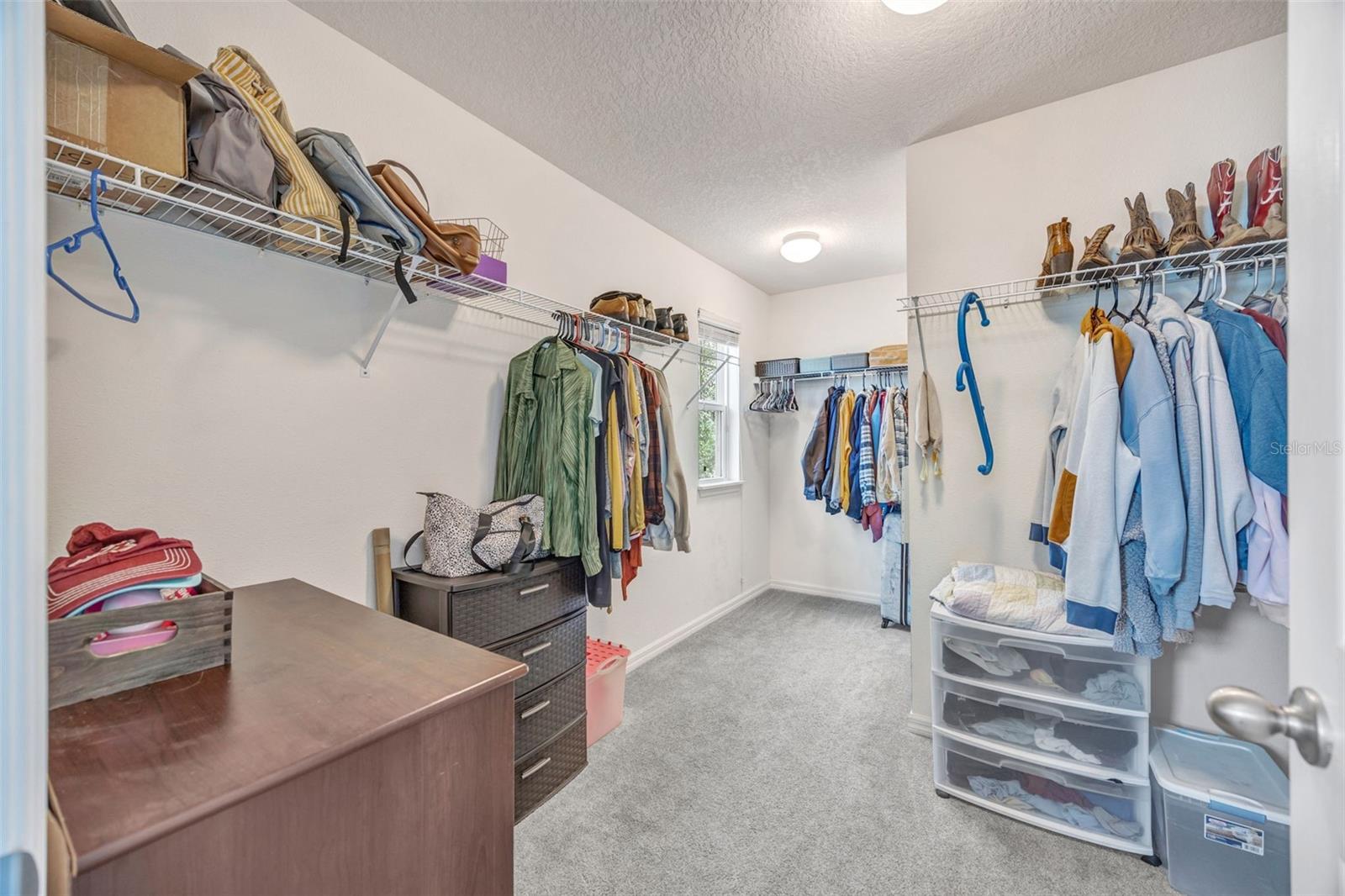 5420 ANGELONIA TER, LAND O LAKES, FL, 34639