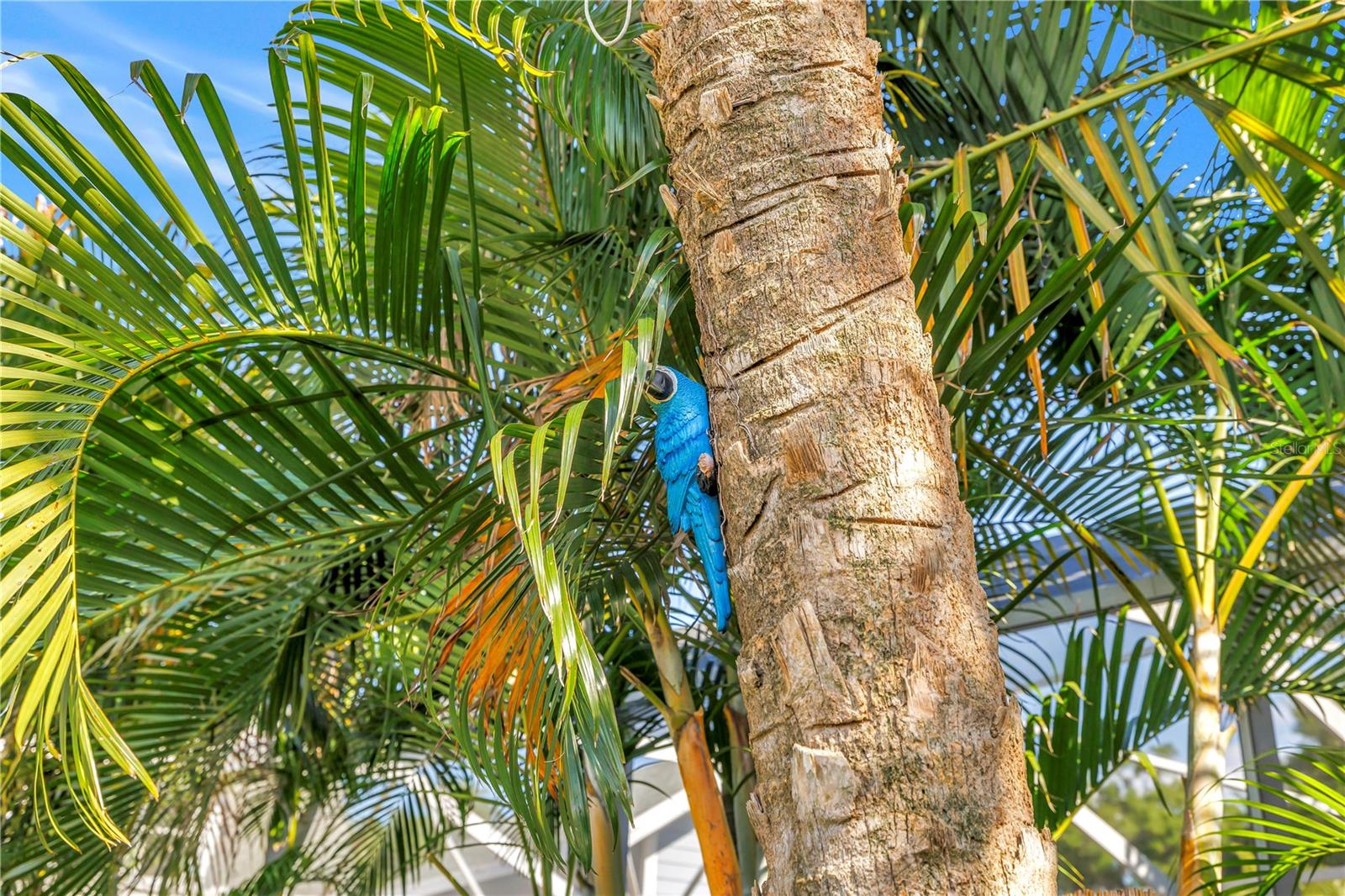 748 11TH AVE N, ST PETERSBURG, FL, 33701