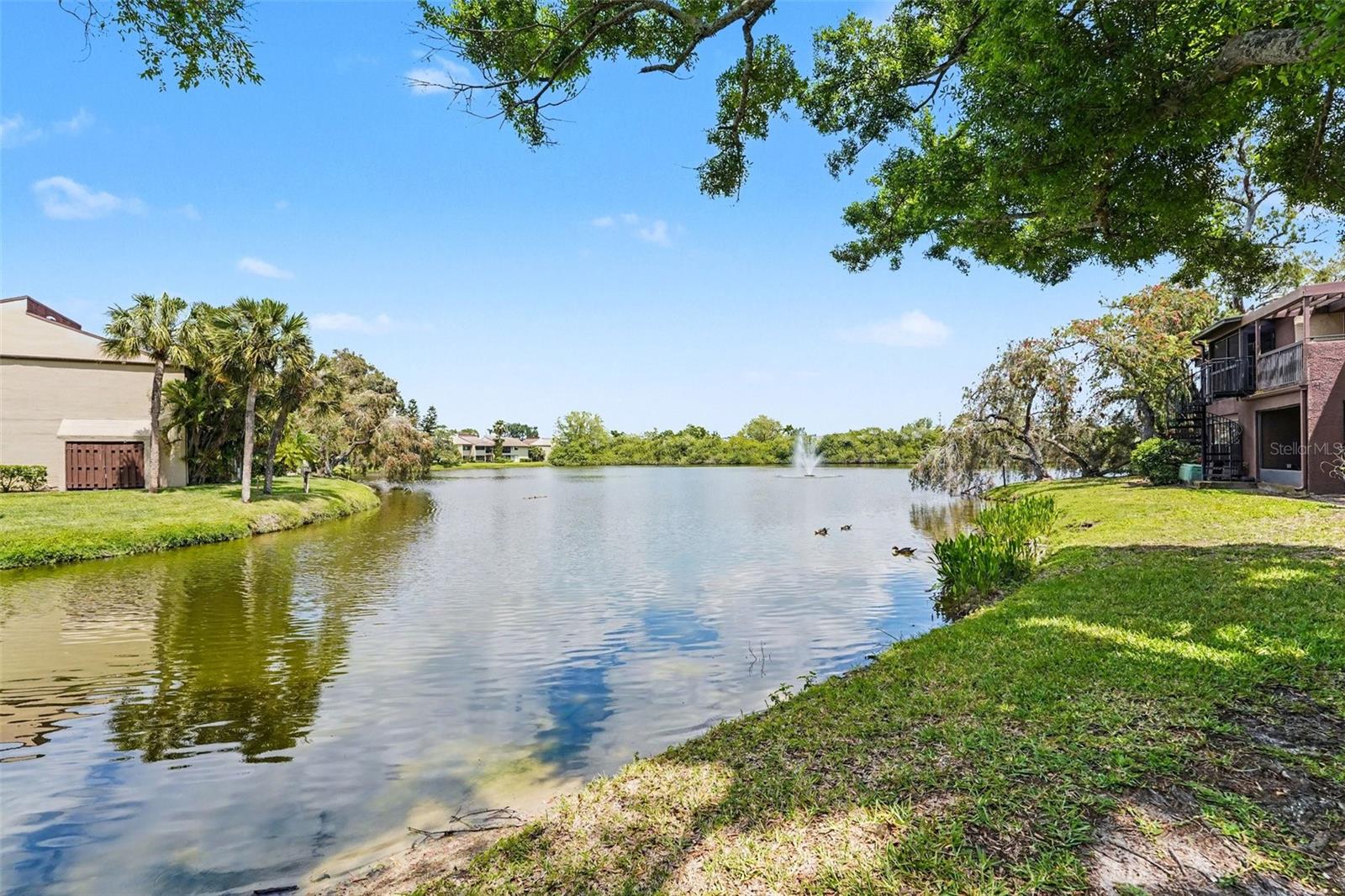 10755 VILLAGE CLUB CIR N #101, ST PETERSBURG, FL, 33716