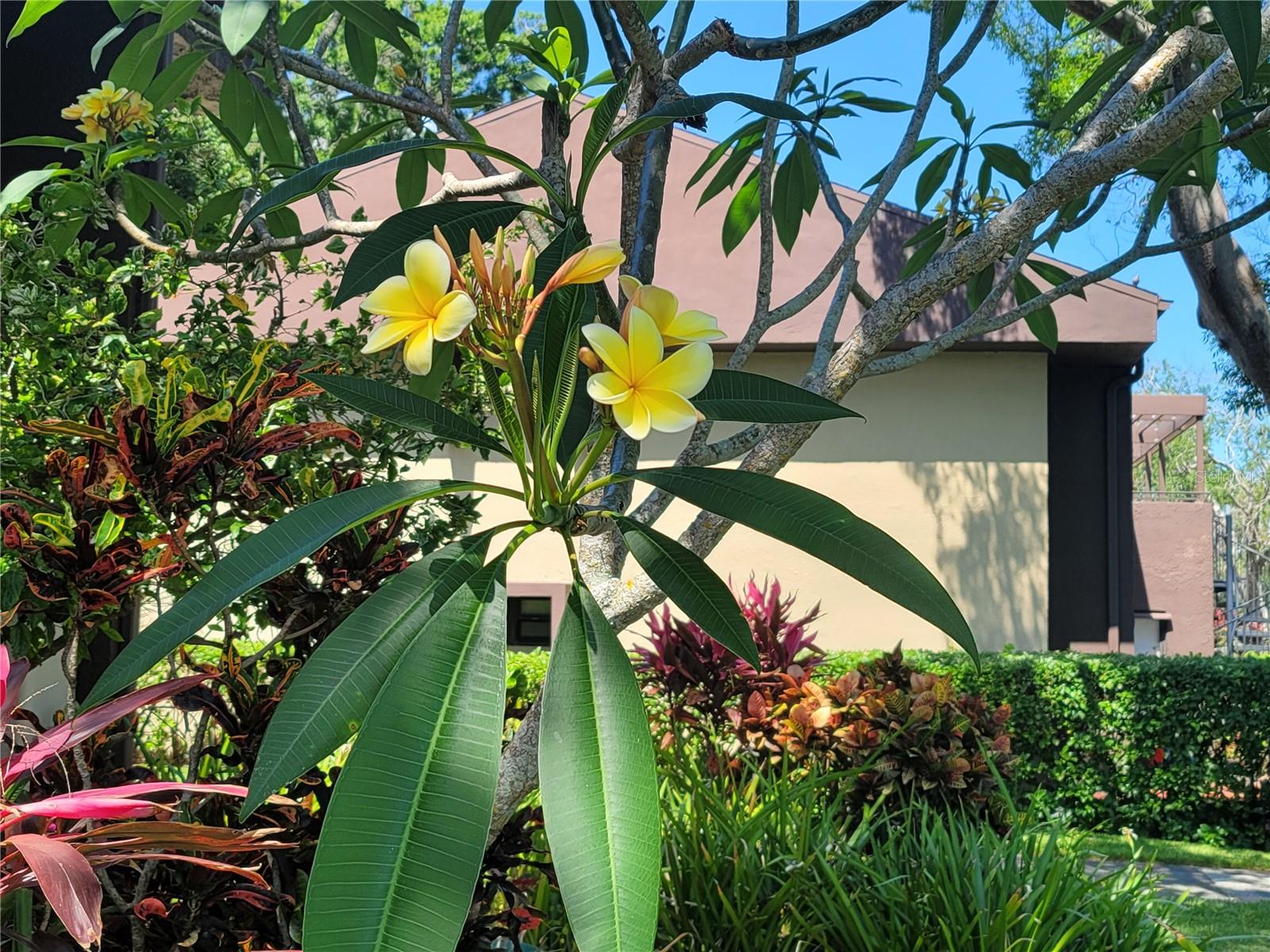 10755 VILLAGE CLUB CIR N #101, ST PETERSBURG, FL, 33716