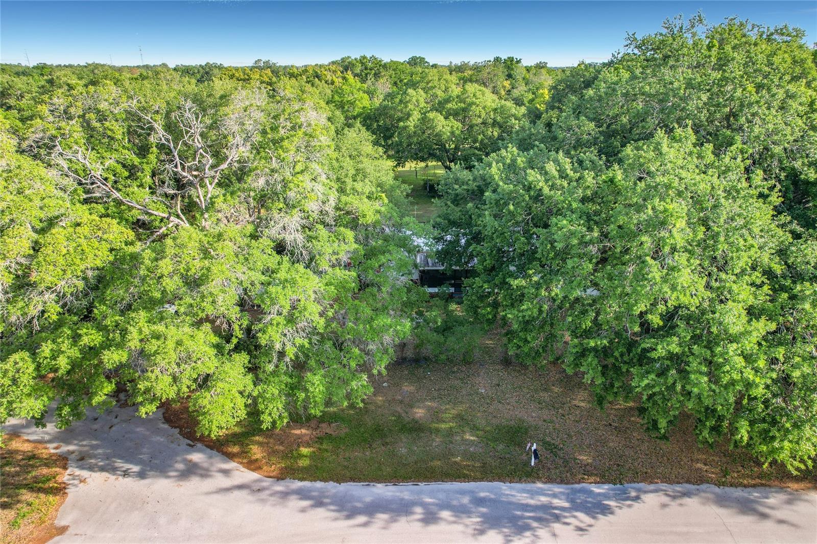 821 IRENE DR, AUBURNDALE, FL, 33823