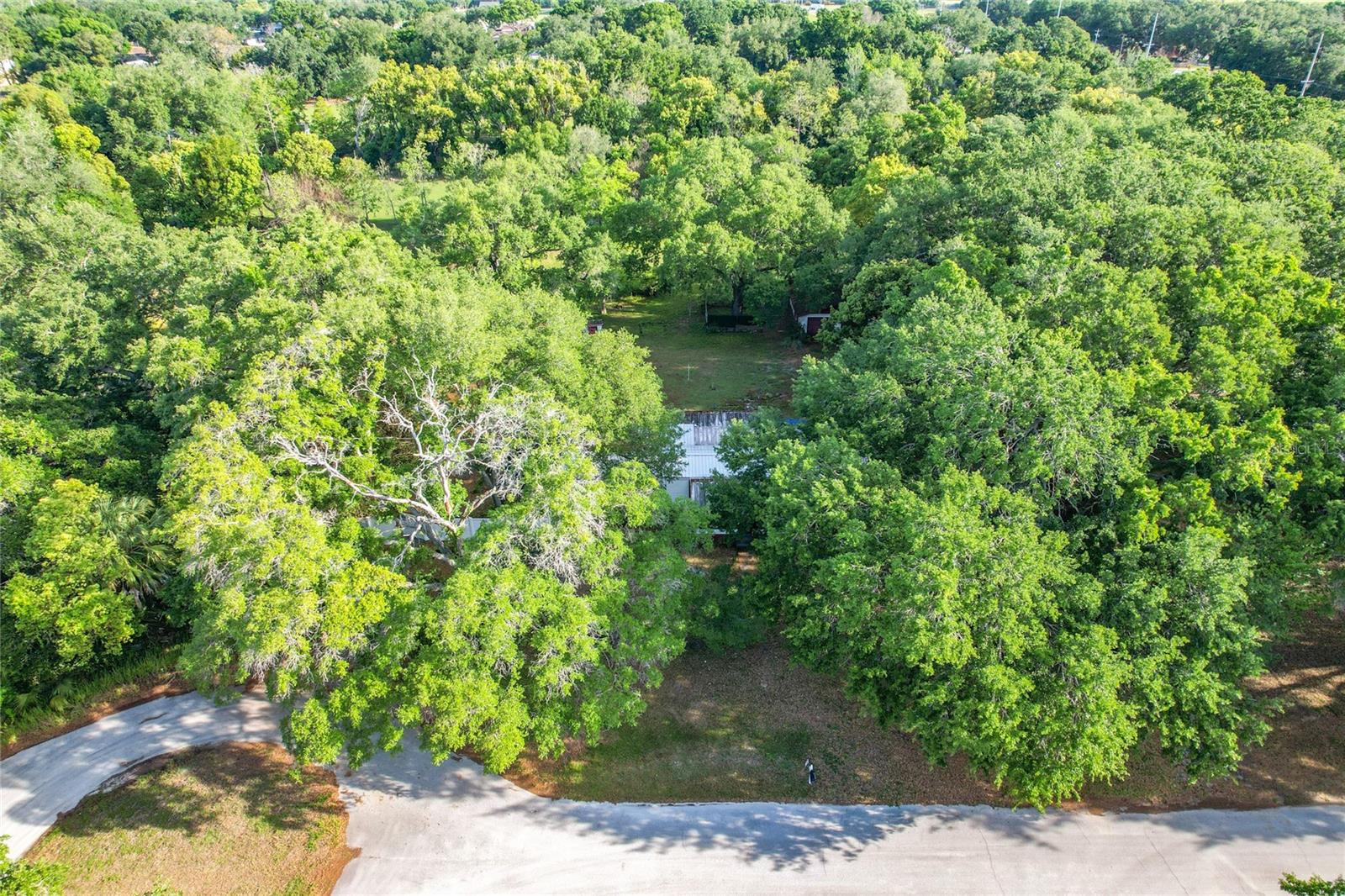 821 IRENE DR, AUBURNDALE, FL, 33823