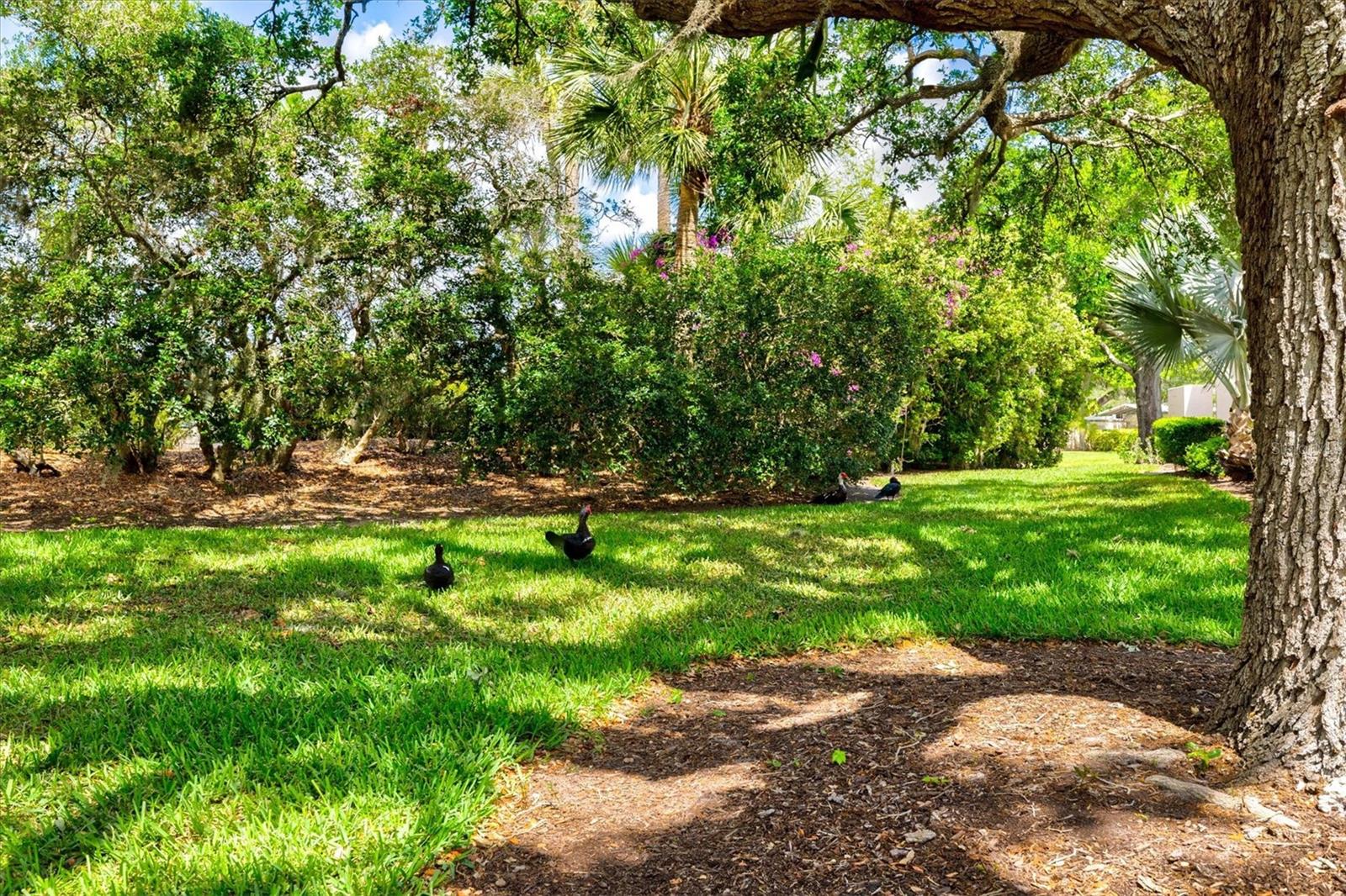 4566 HIDDEN VIEW PL #7, SARASOTA, FL, 34235