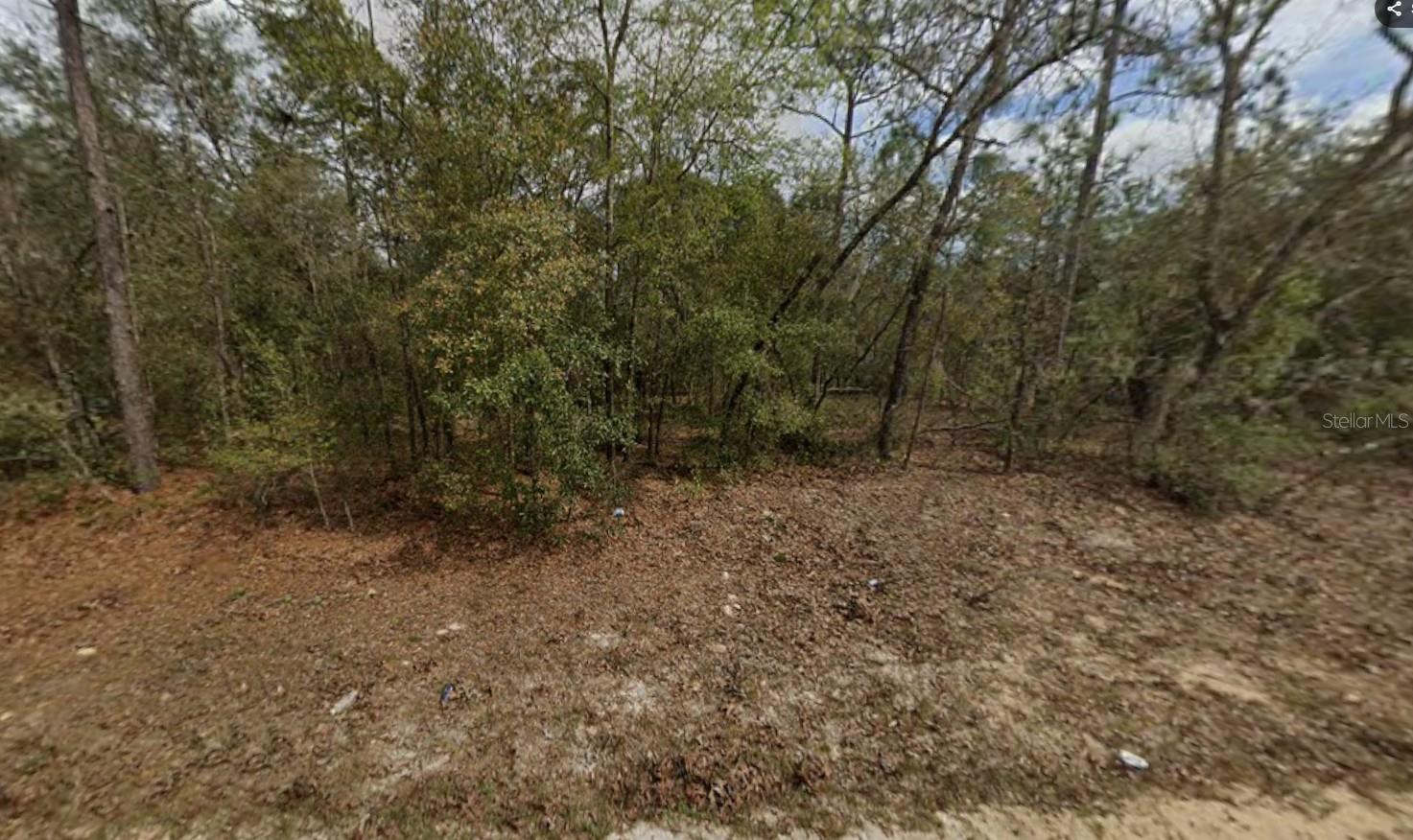 LOT 28 JANET AVE, INTERLACHEN, FL, 32148