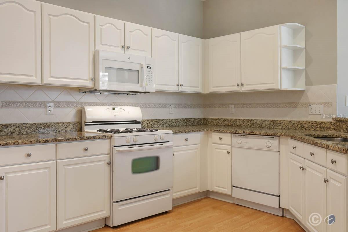 15745 PHOEBEPARK AVE, LITHIA, FL, 33547