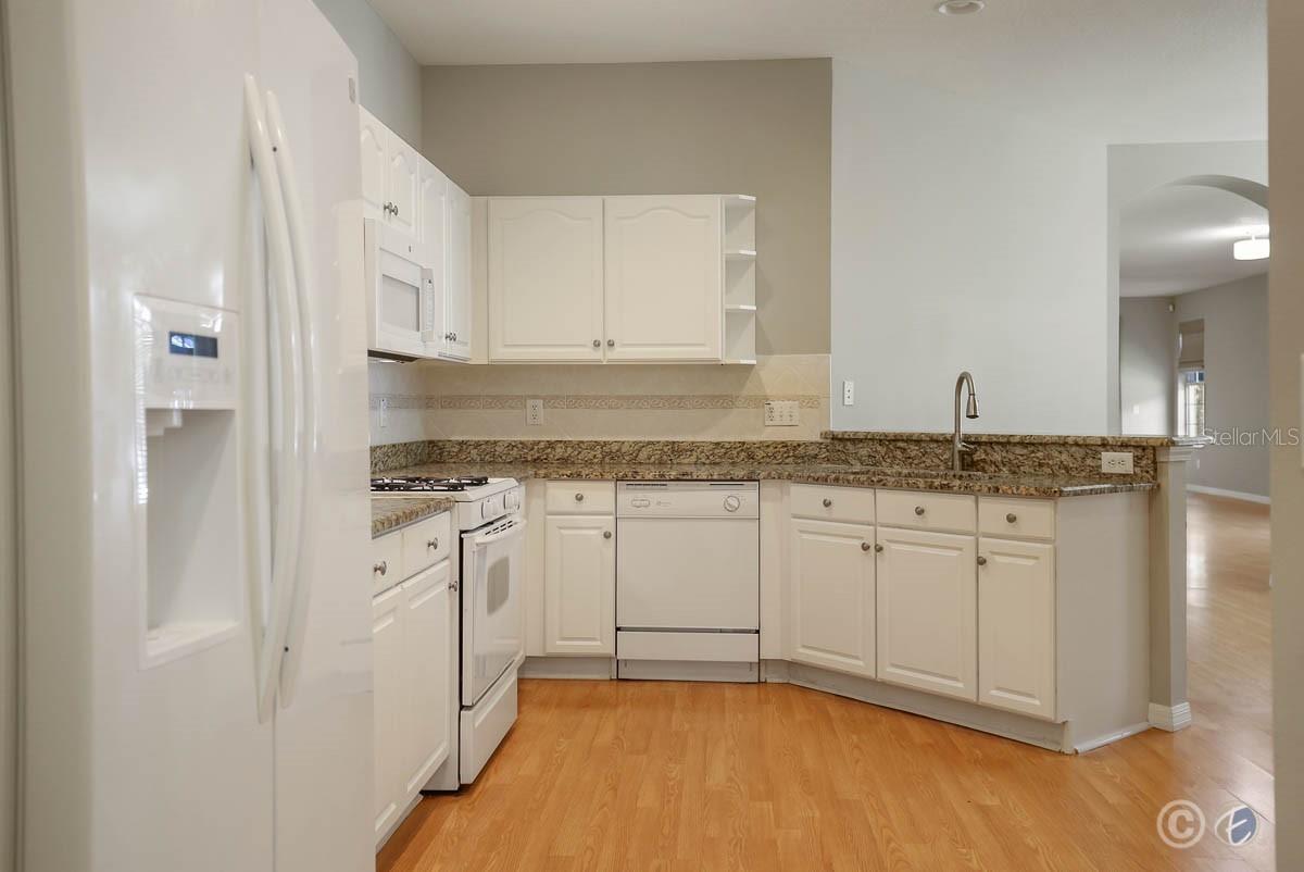 15745 PHOEBEPARK AVE, LITHIA, FL, 33547